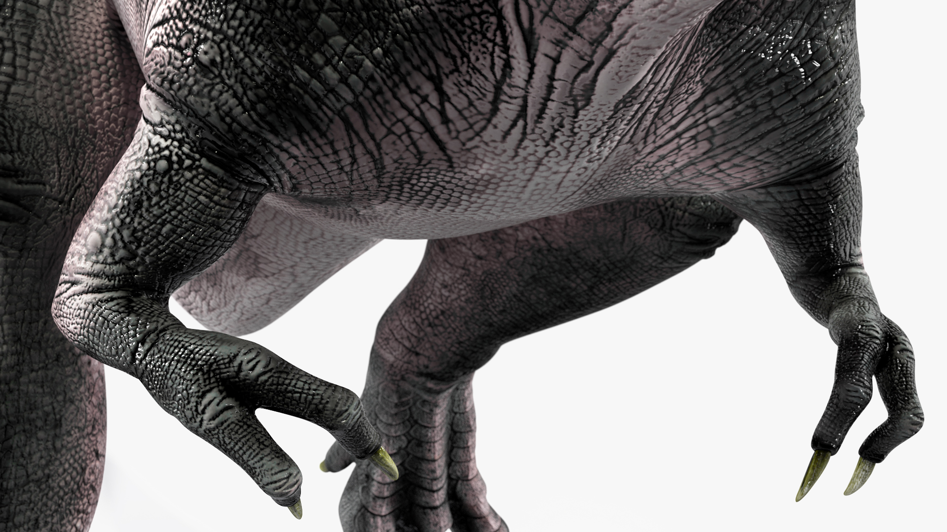 T Rex Walking Animated Rigged 3D model