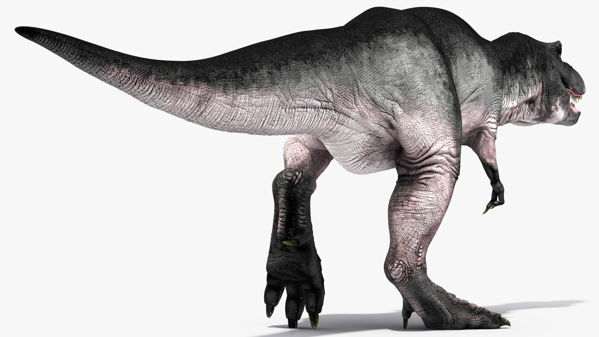 T Rex Walking Animated Rigged 3D model