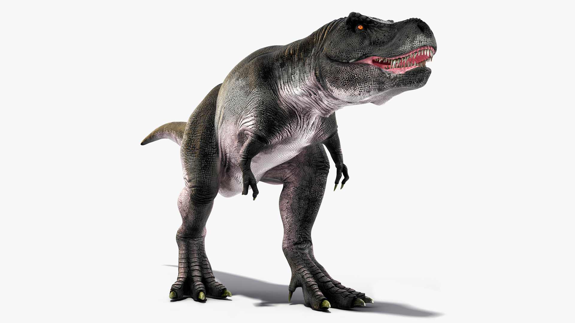 T Rex Walking Animated Rigged 3D model