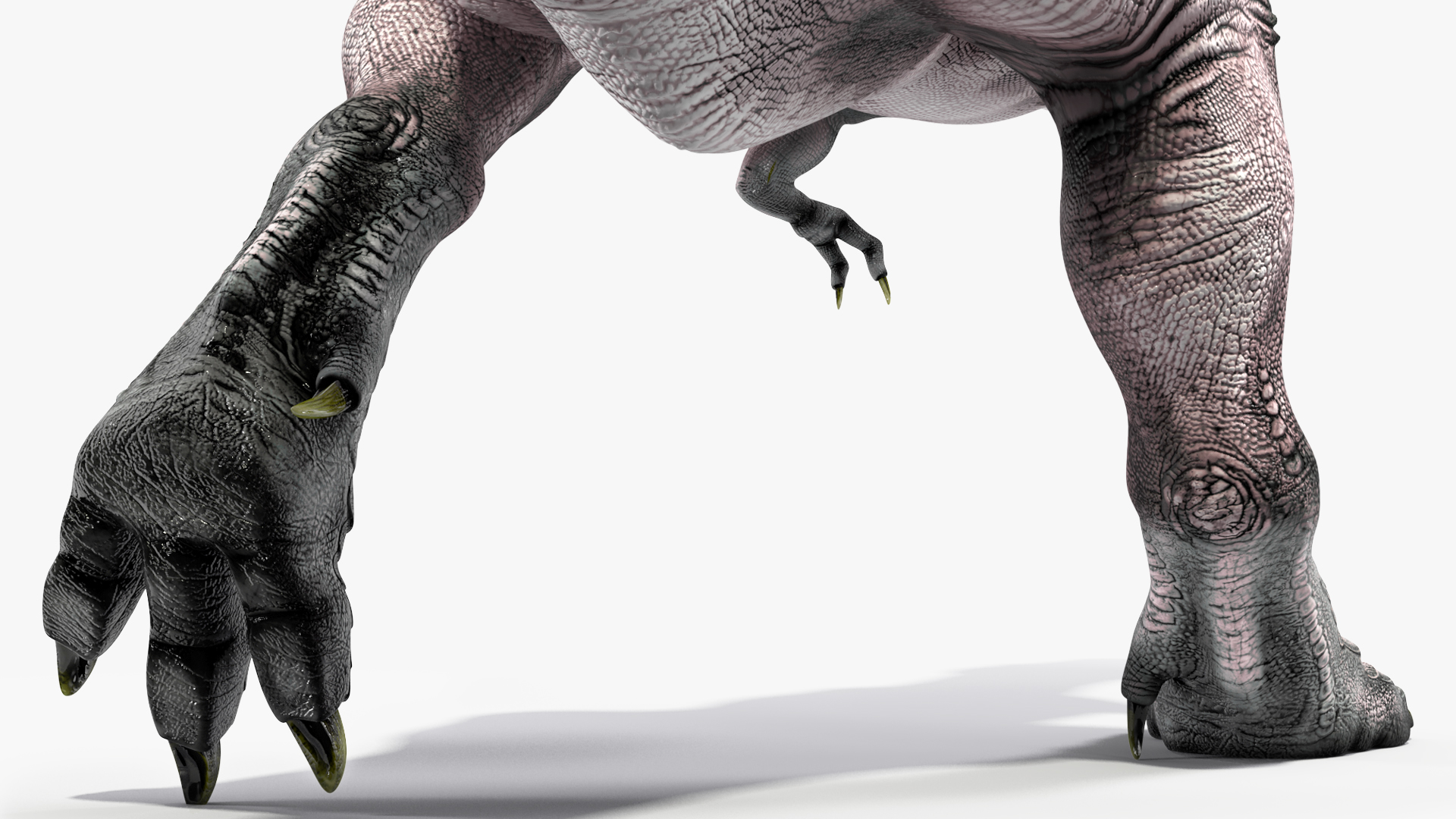 T Rex Walking Animated Rigged 3D model