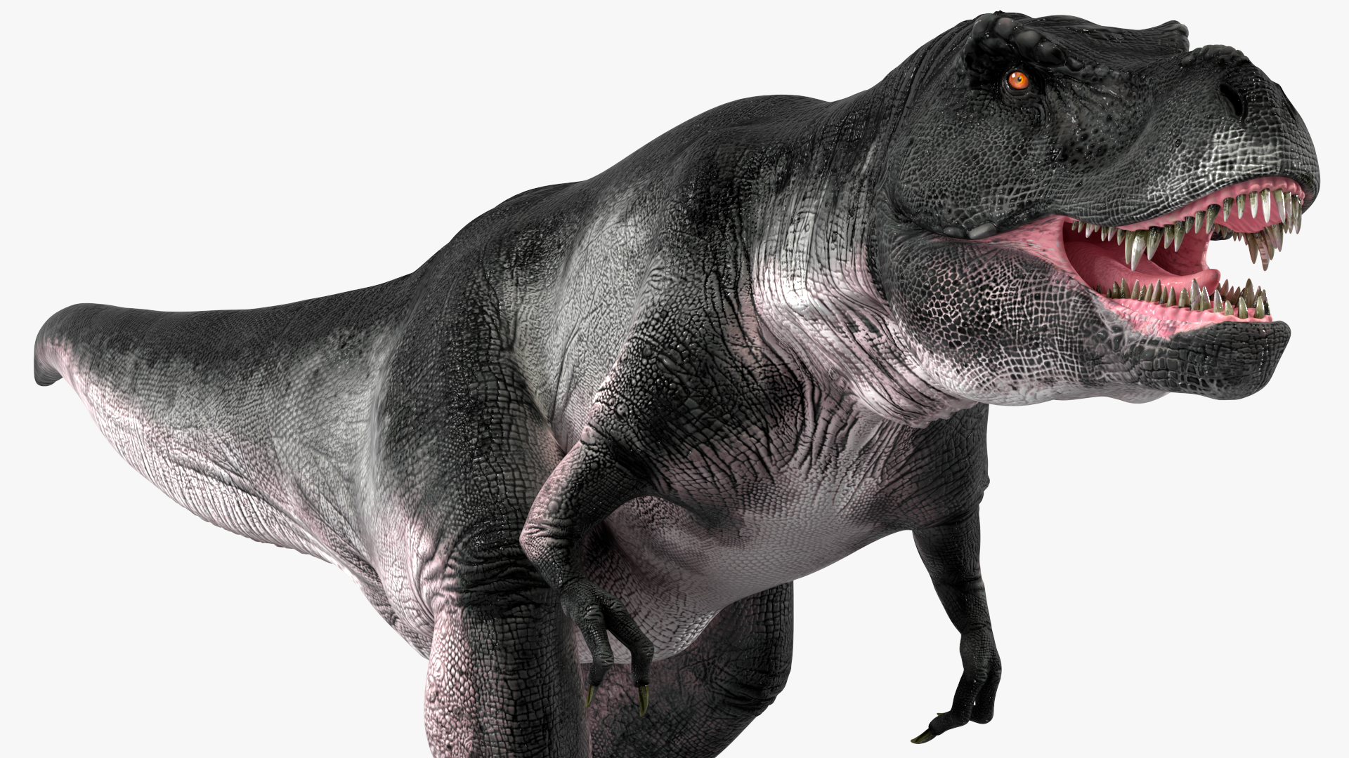 T Rex Walking Animated Rigged 3D model