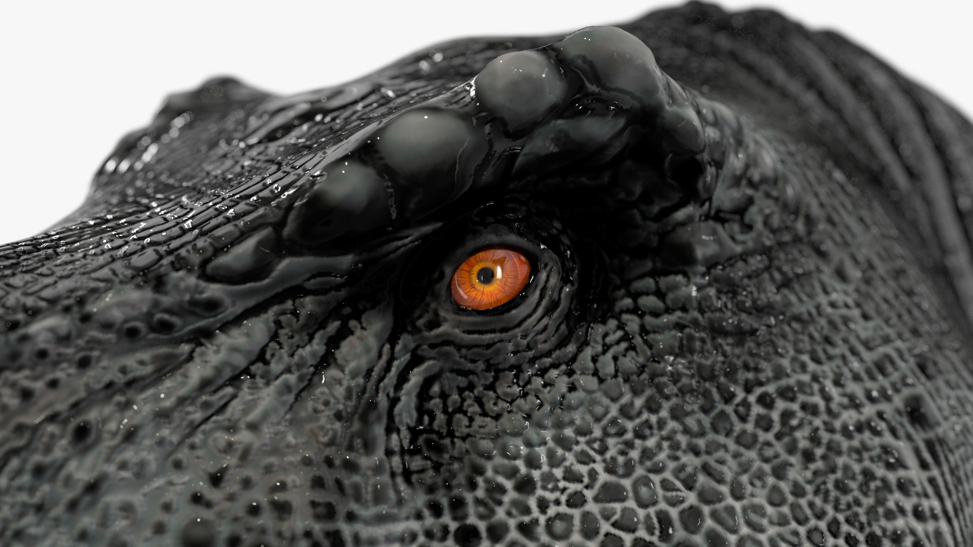 T Rex Walking Animated Rigged 3D model