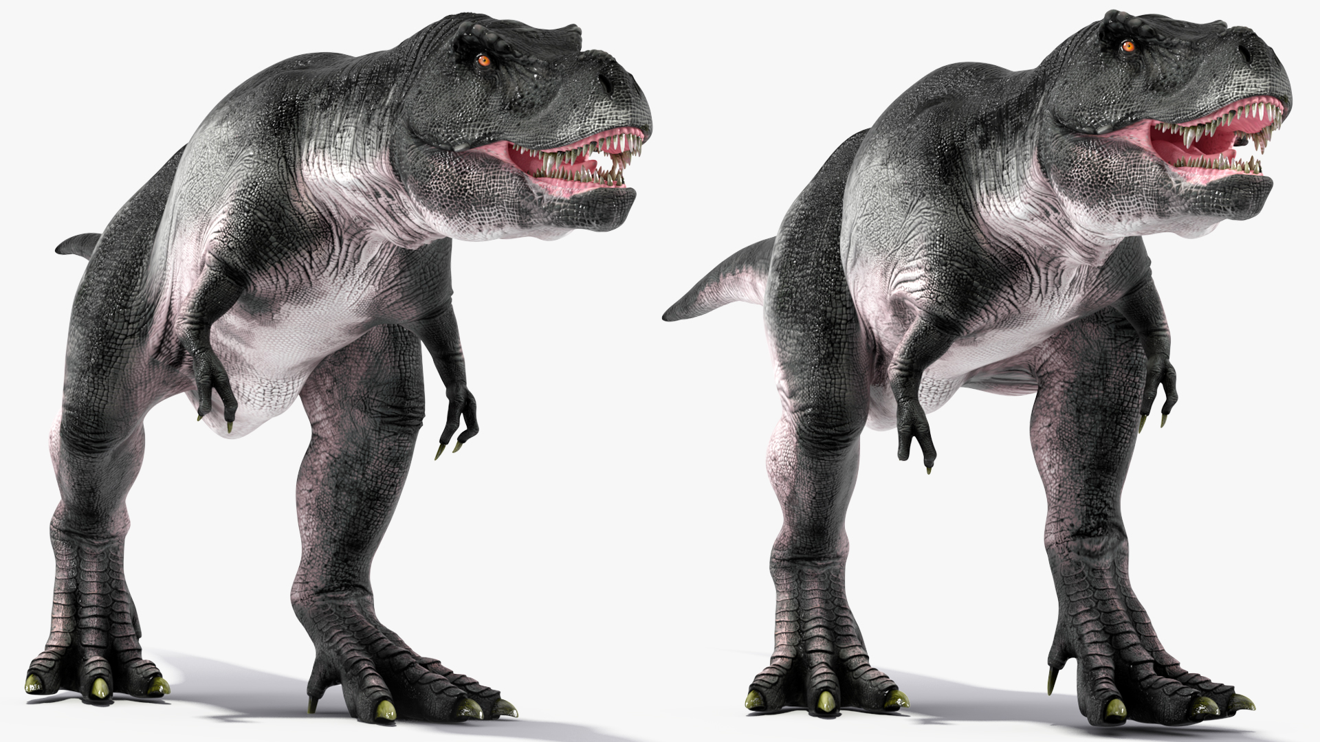 T Rex Walking Animated Rigged 3D model