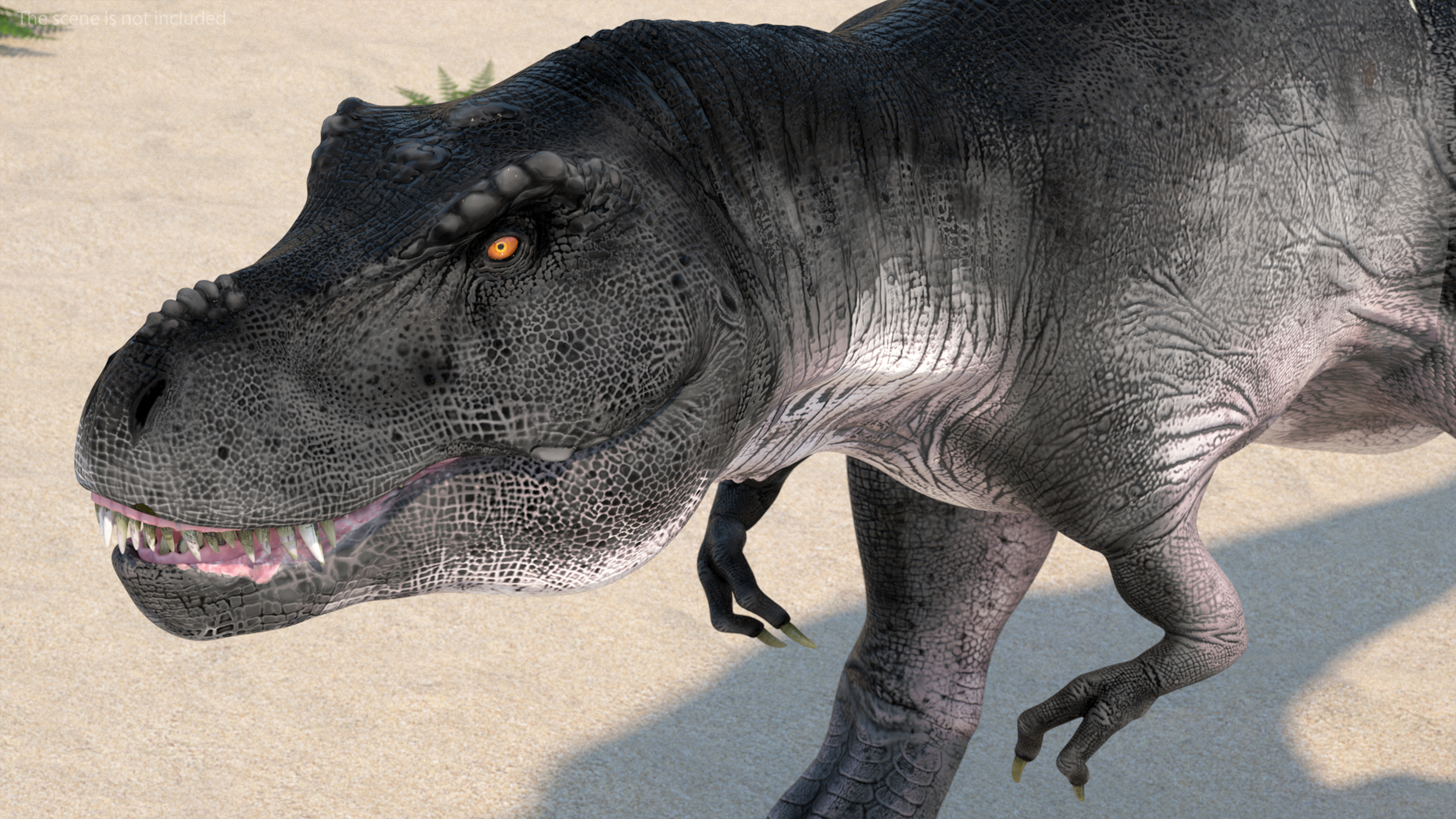 T Rex Walking Animated Rigged 3D model