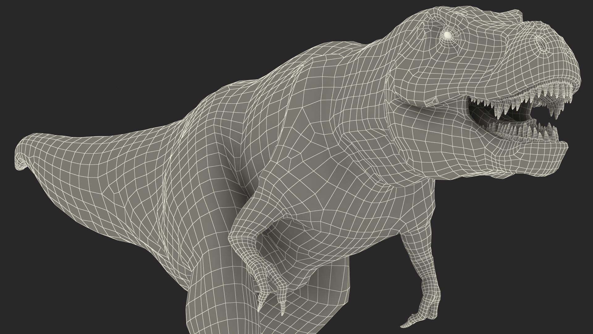 T Rex Walking Animated Rigged 3D model