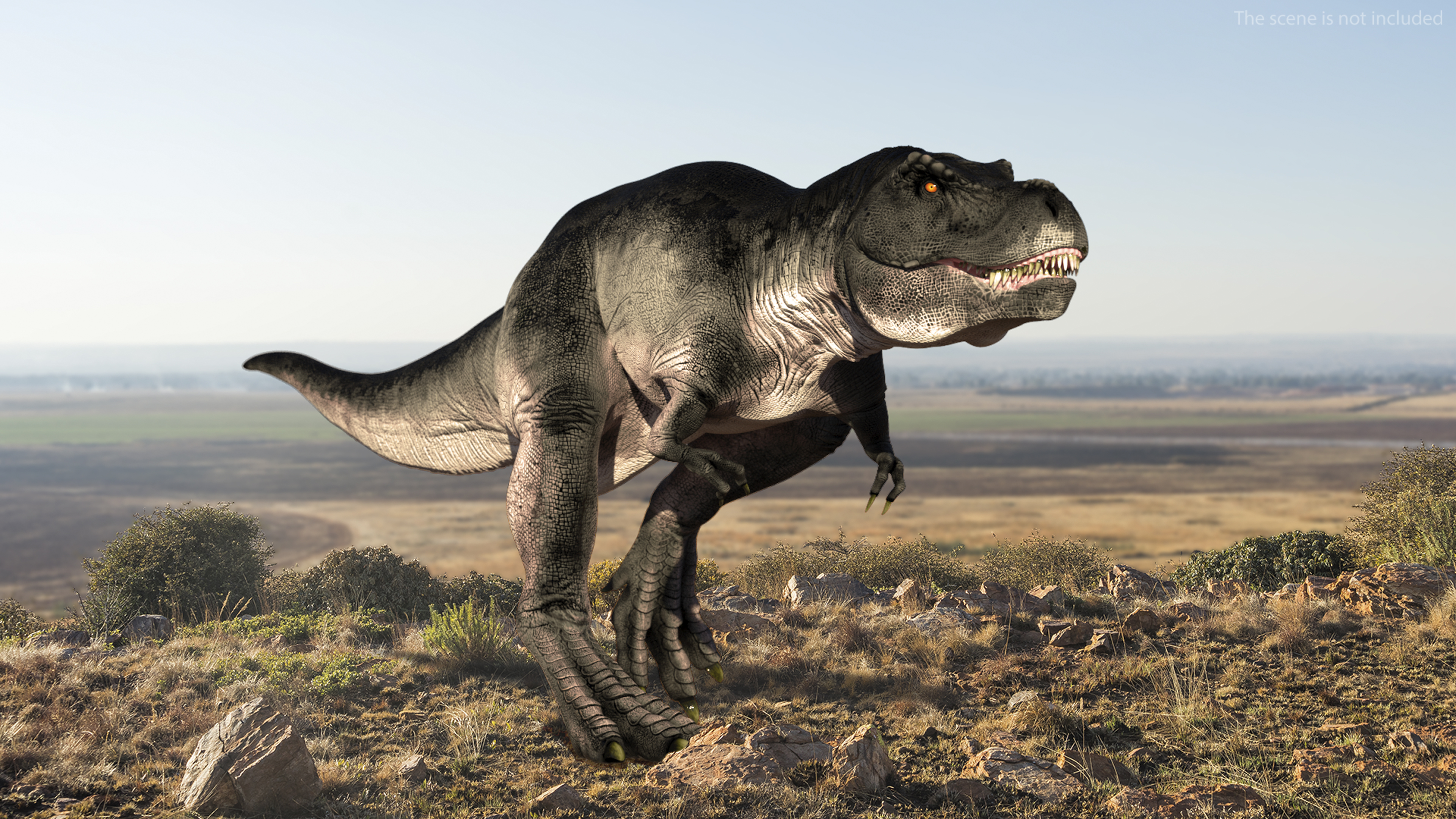 T Rex Walking Animated Rigged 3D model