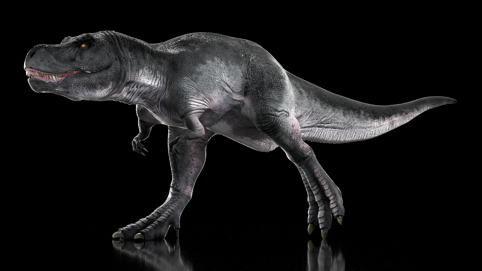 T Rex Walking Animated Rigged 3D model