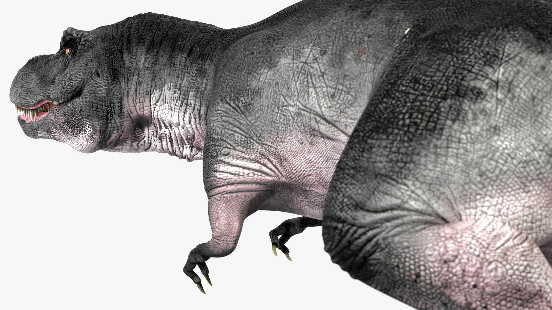 T Rex Walking Animated Rigged 3D model