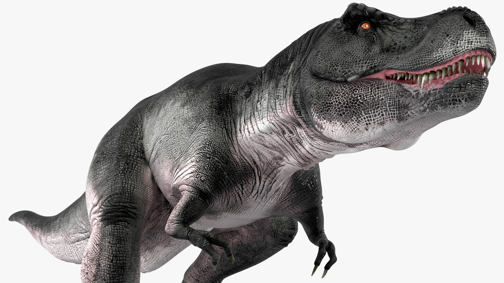 T Rex Walking Animated Rigged 3D model
