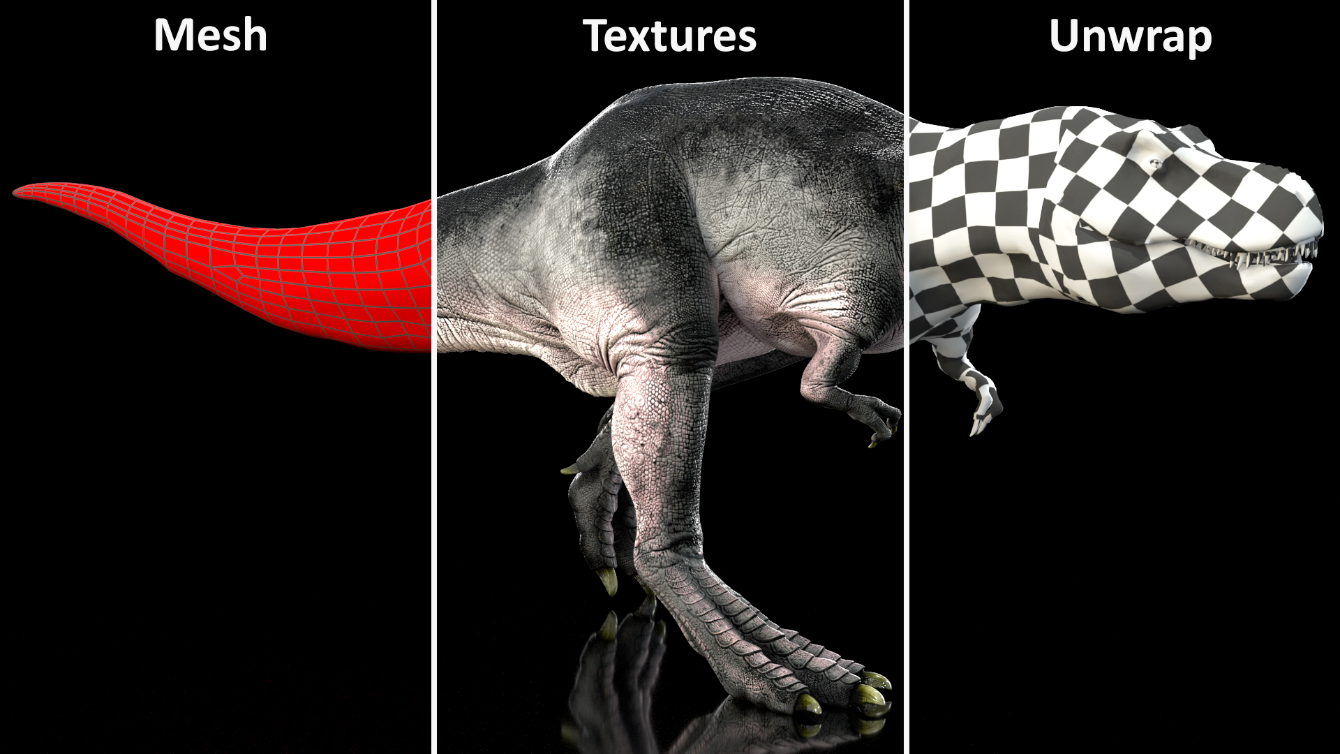 T Rex Walking Animated Rigged 3D model