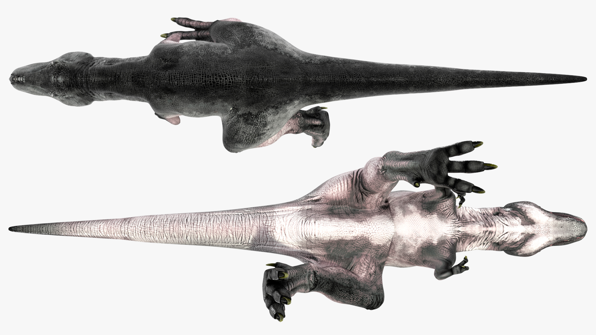 T Rex Walking Animated Rigged 3D model