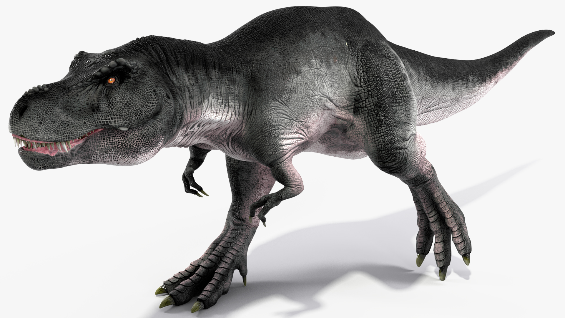 T Rex Walking Animated Rigged 3D model