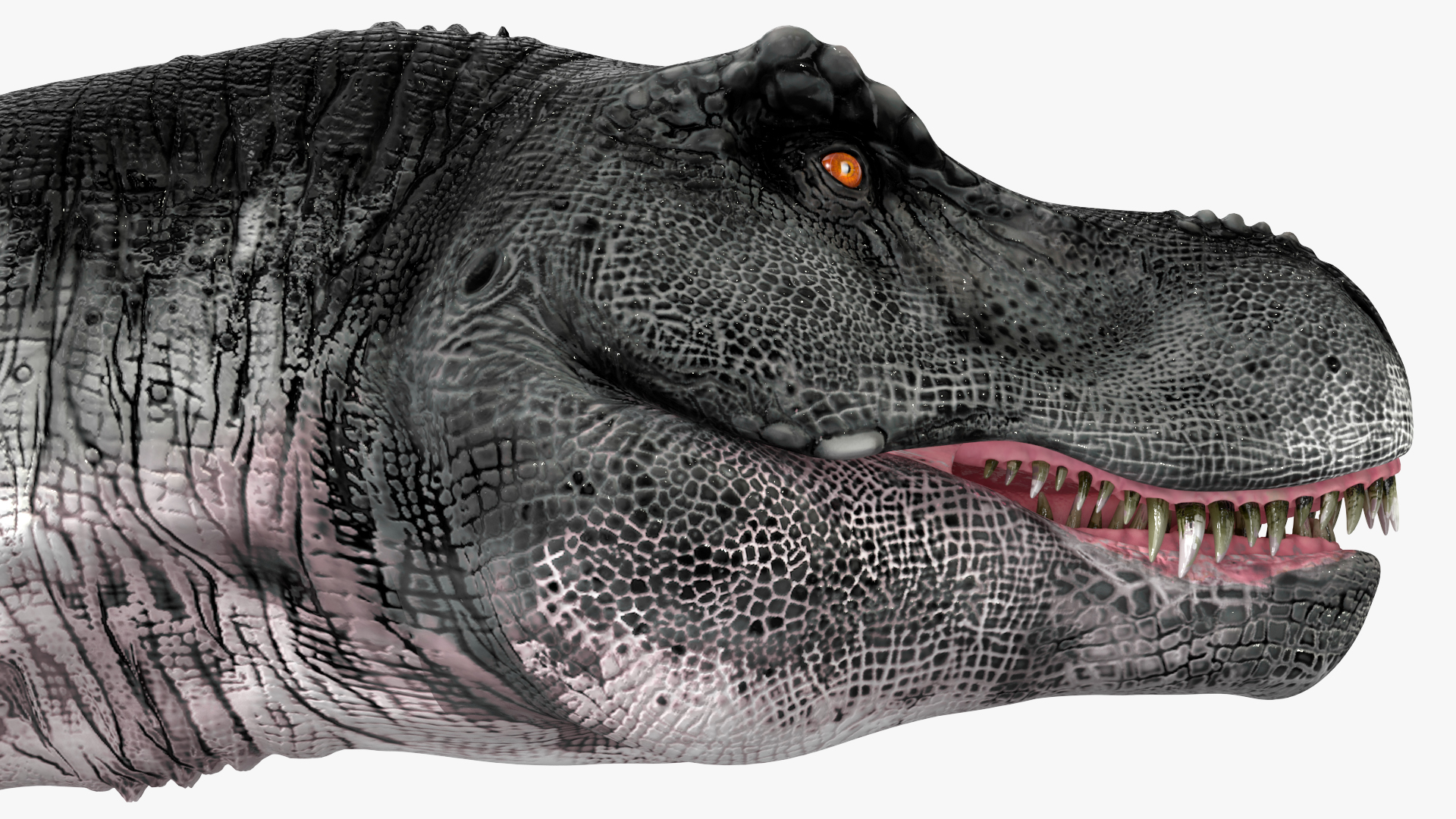 T Rex Walking Animated Rigged 3D model