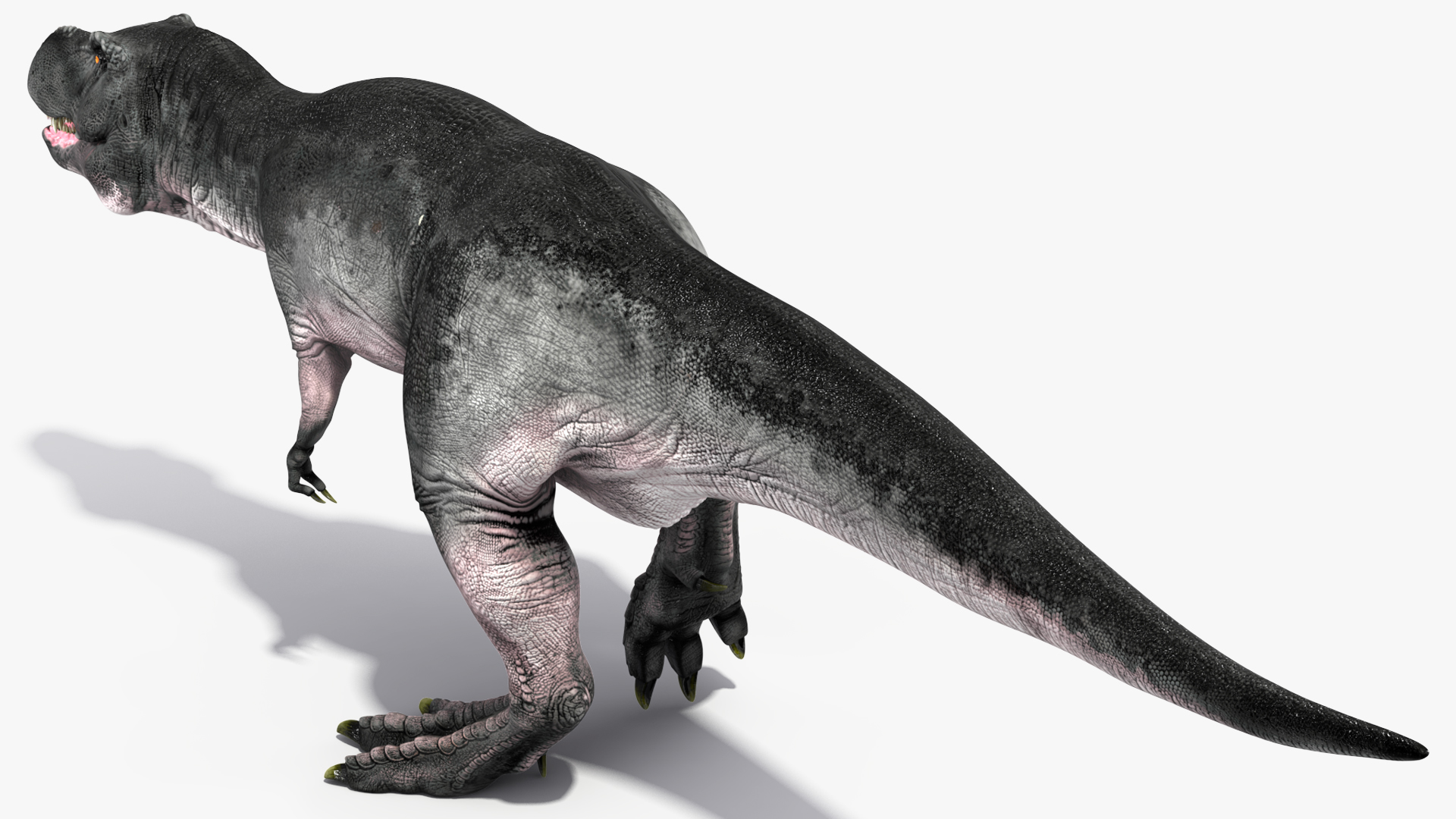 T Rex Walking Animated Rigged 3D model