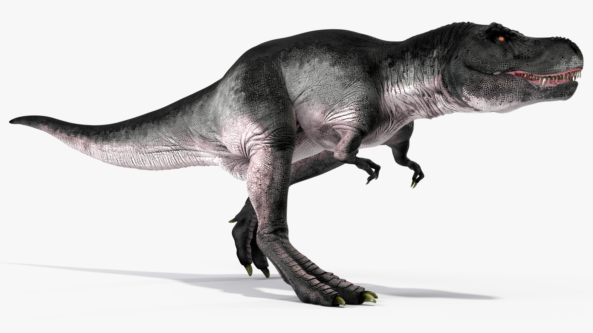 T Rex Walking Animated Rigged 3D model