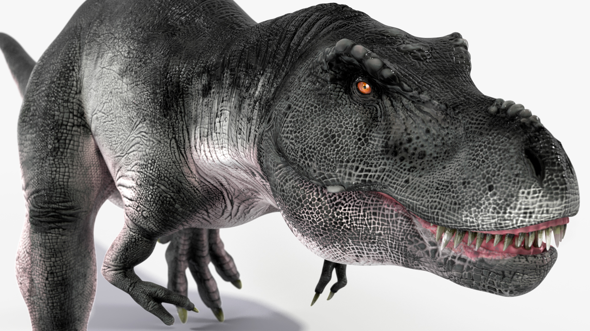 T Rex Walking Animated Rigged 3D model