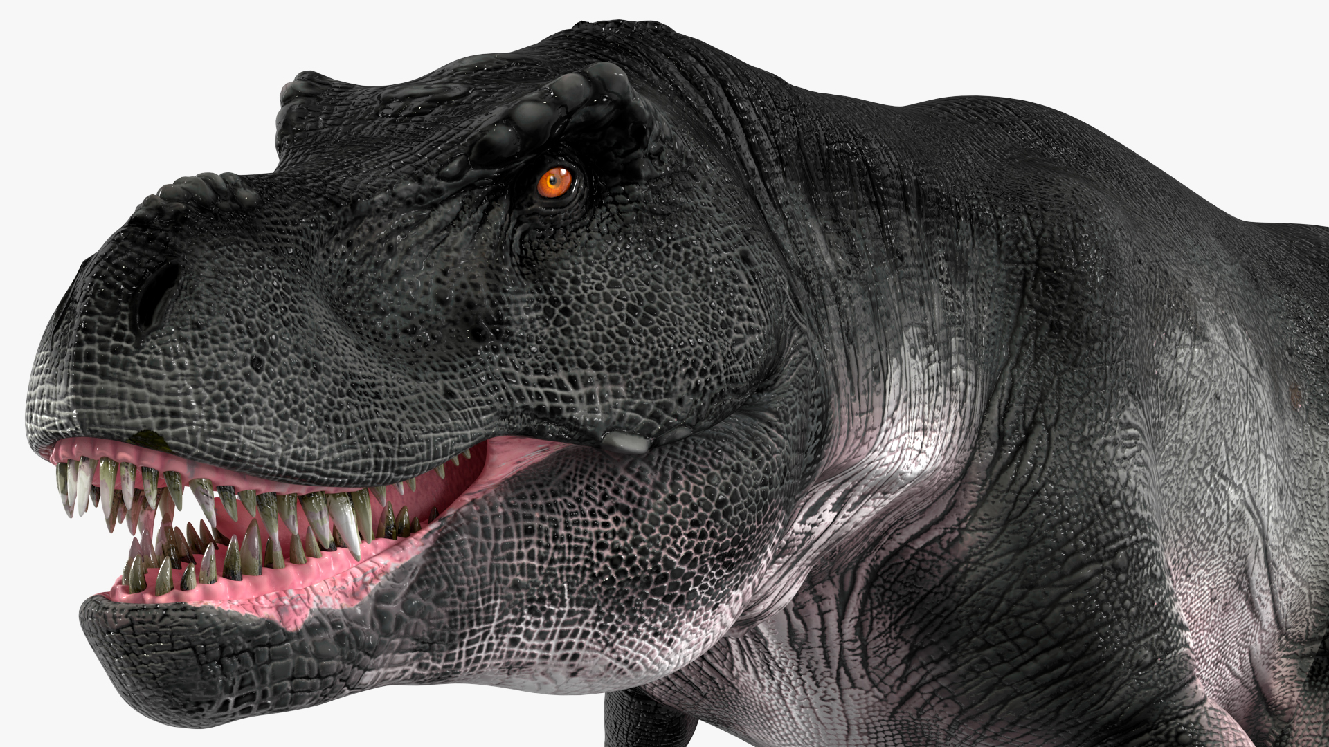 T Rex Walking Animated Rigged 3D model