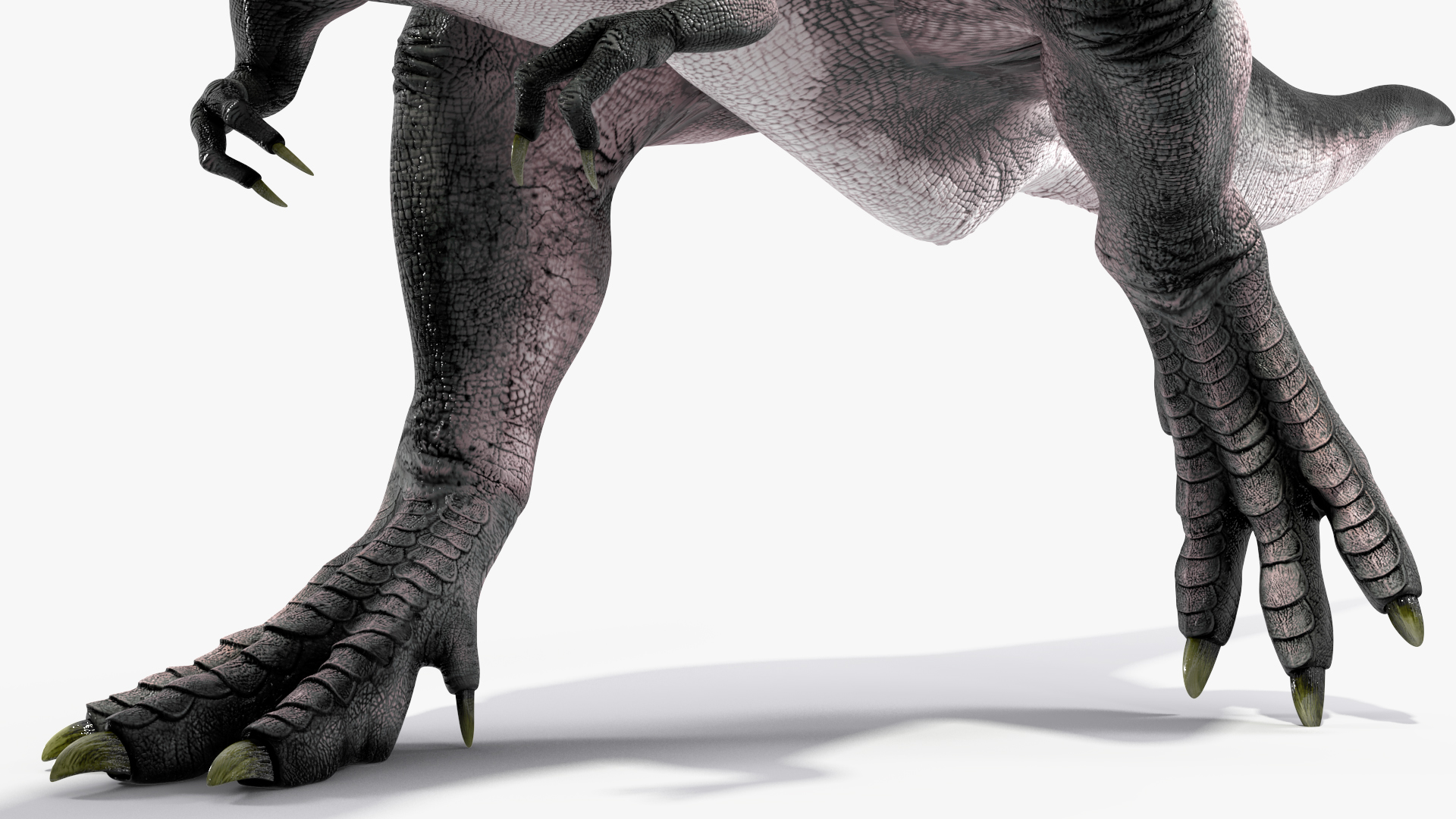 T Rex Walking Animated Rigged 3D model