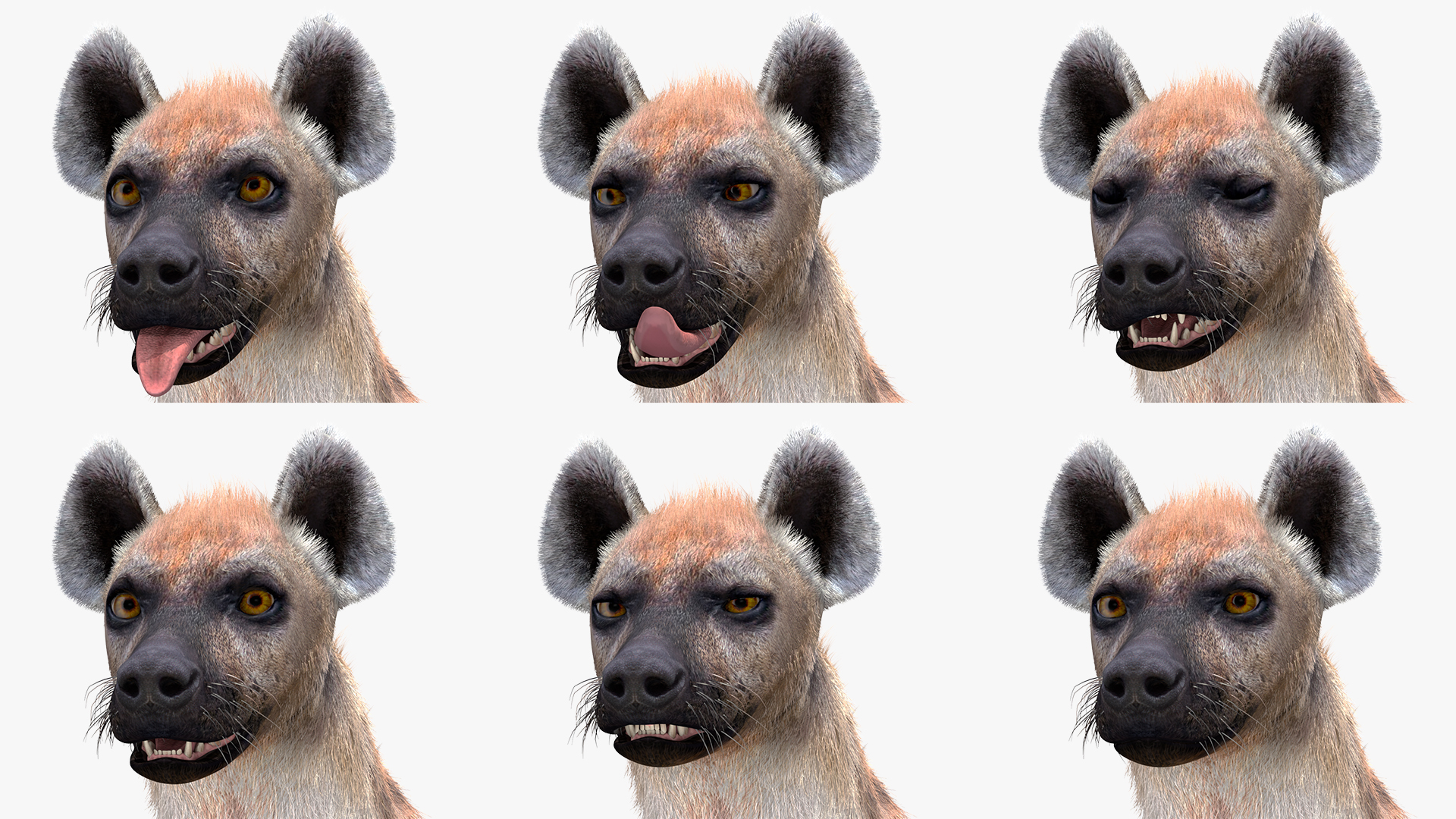 3D Hyena Fur Rigged