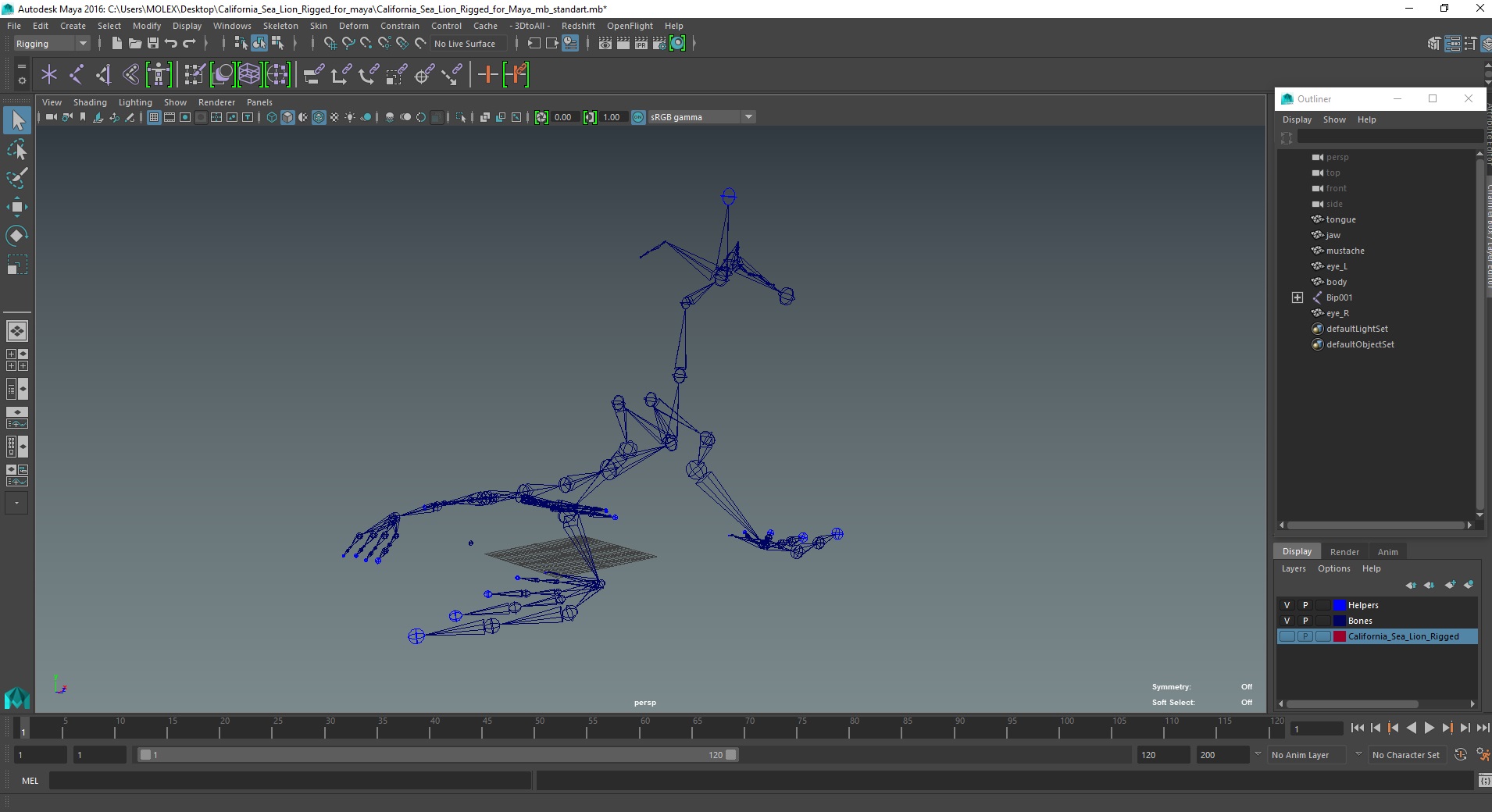 3D model California Sea Lion Rigged for Maya