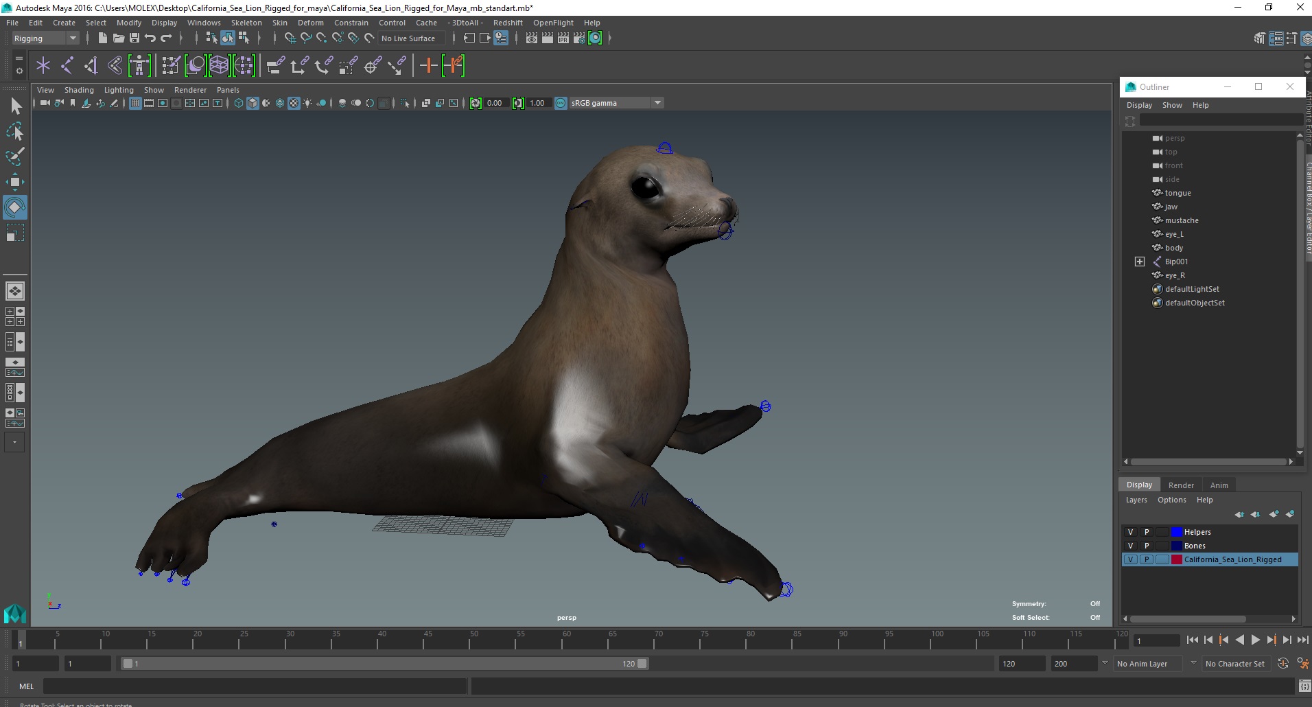 3D model California Sea Lion Rigged for Maya