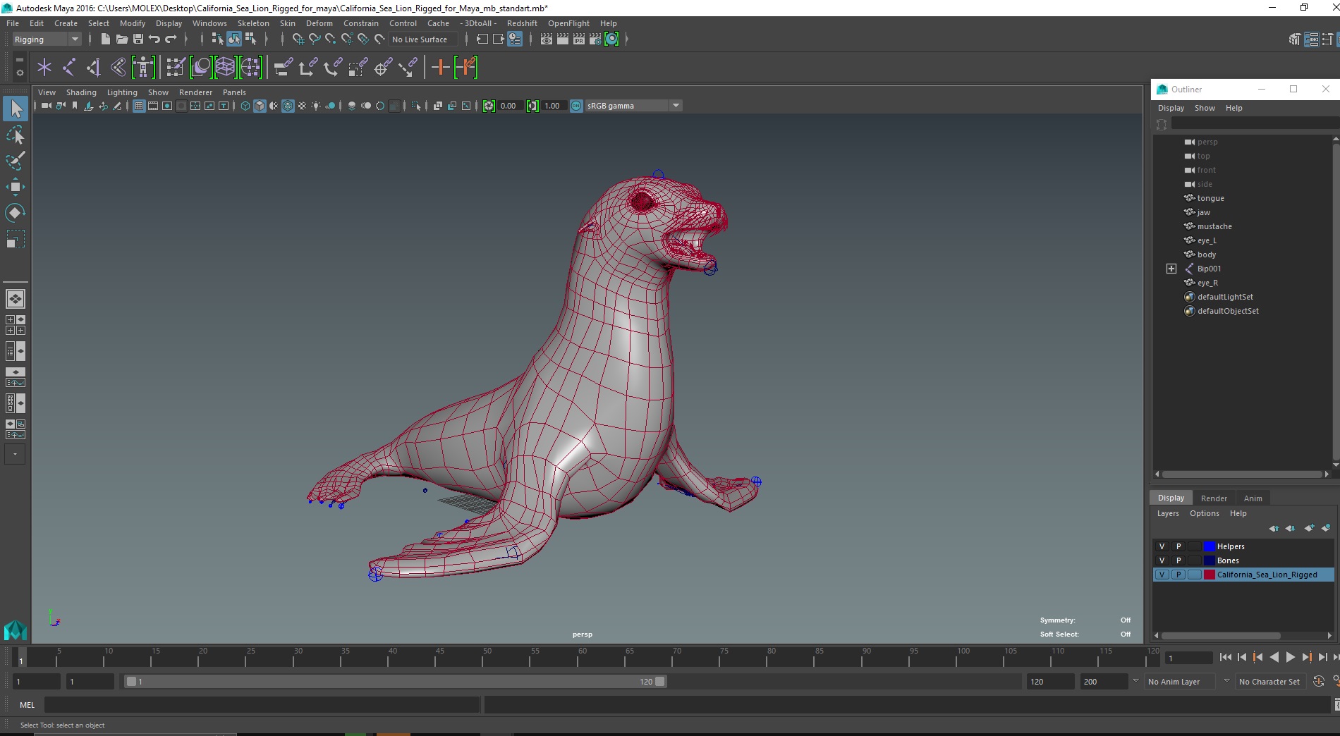 3D model California Sea Lion Rigged for Maya