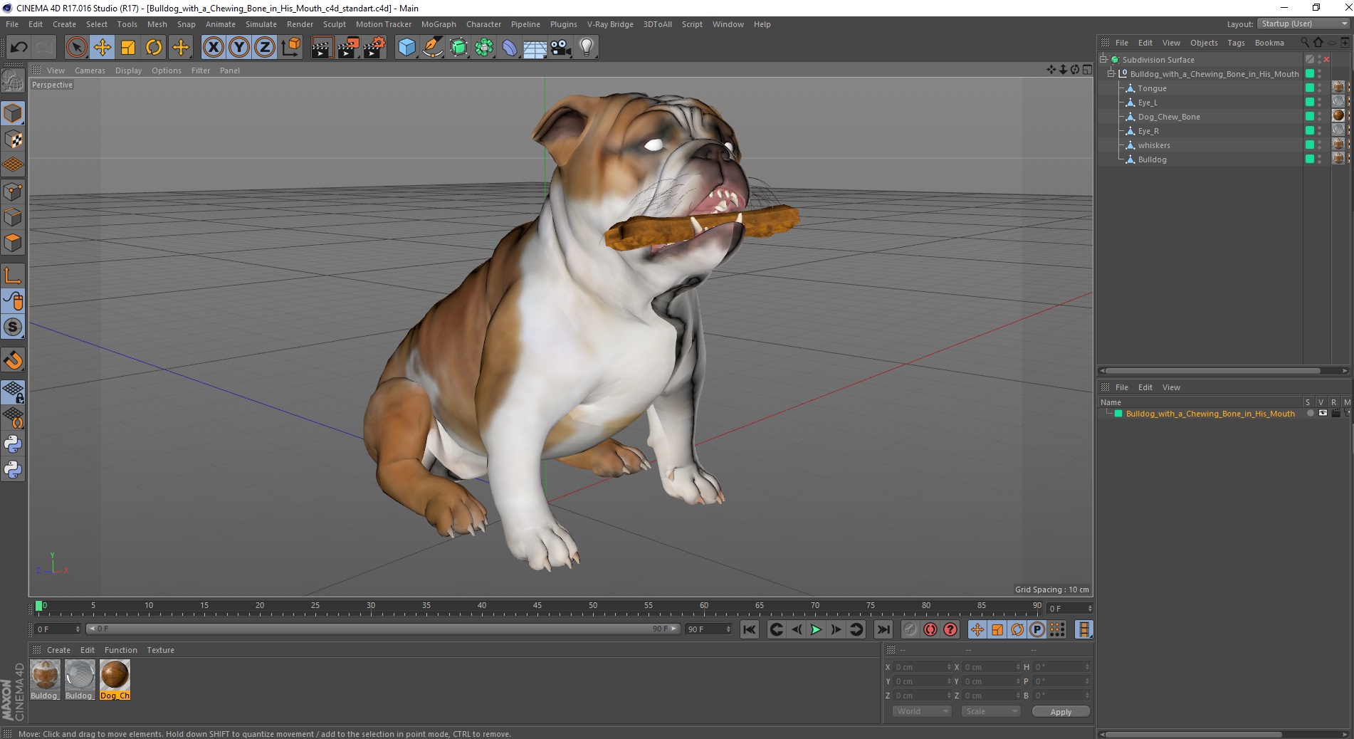 3D model Bulldog with a Chewing Bone in His Mouth