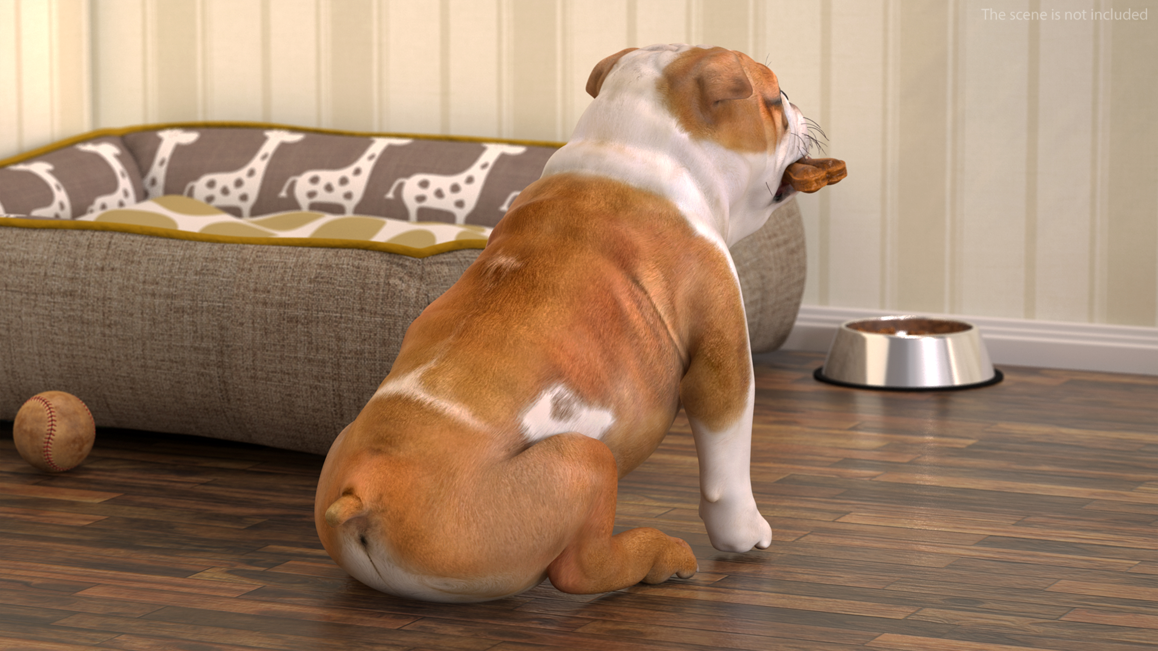 3D model Bulldog with a Chewing Bone in His Mouth