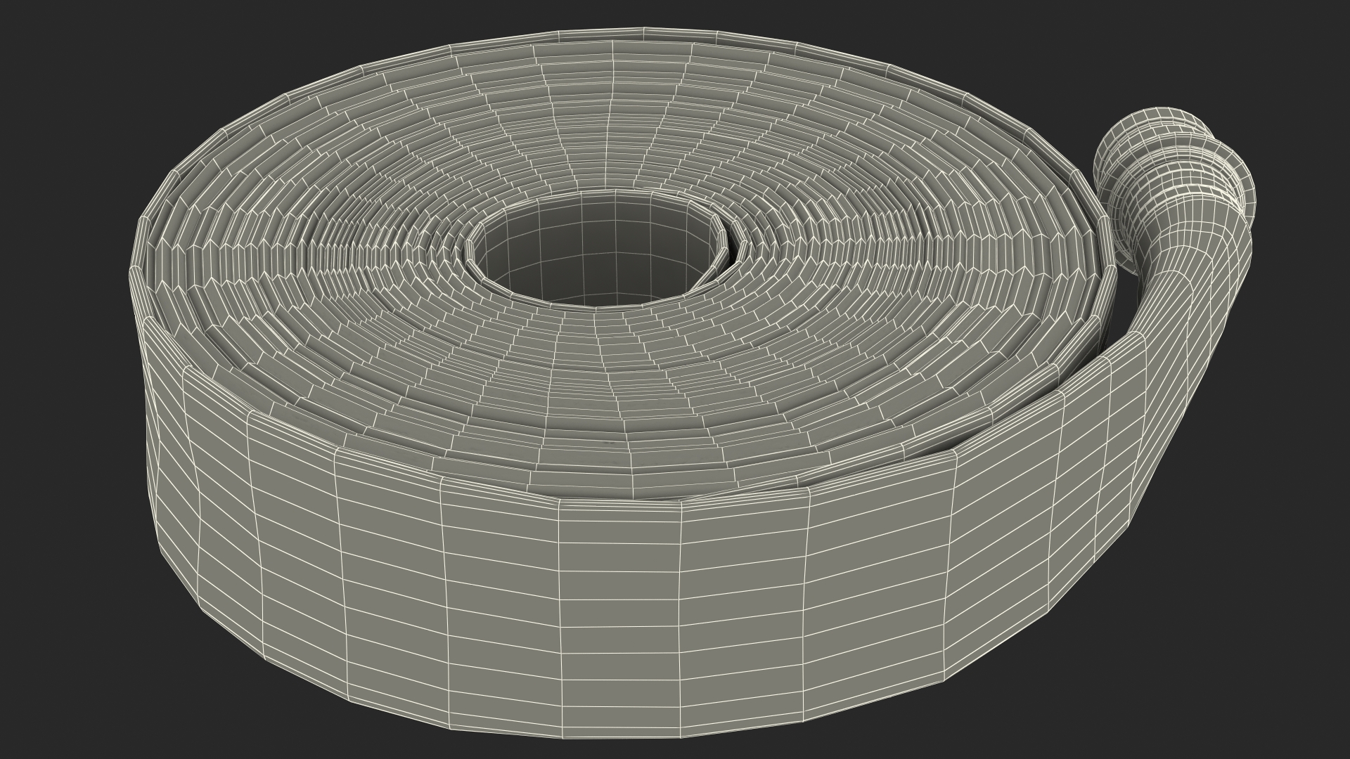 3D Coiled Fire Hose Used