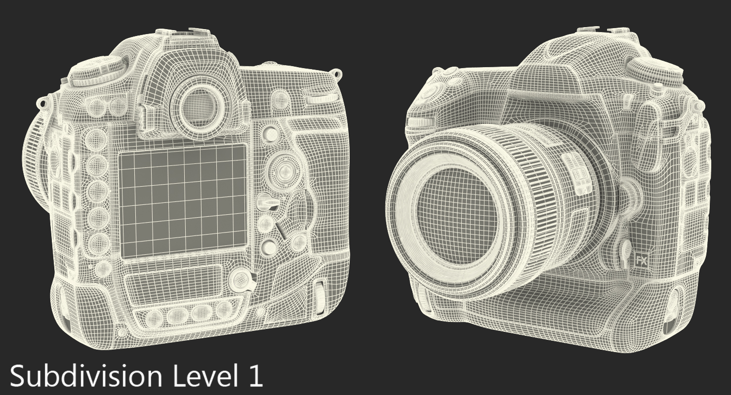 3D Nikon D5 Professional DSLR Camera model