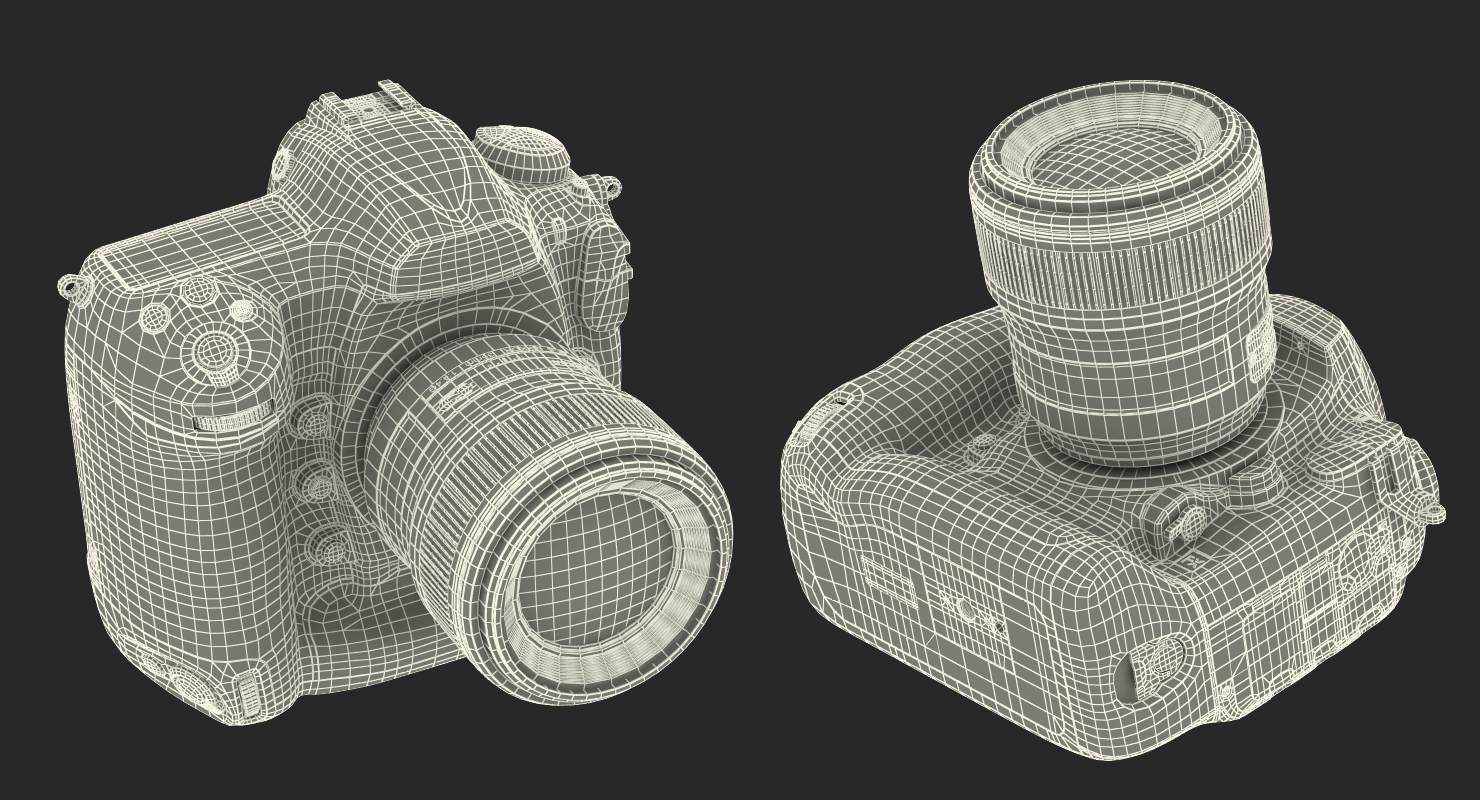 3D Nikon D5 Professional DSLR Camera model