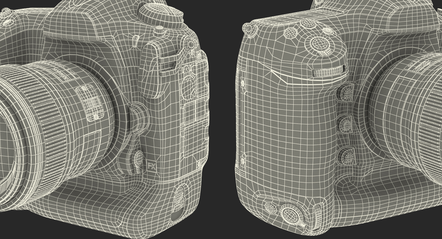 3D Nikon D5 Professional DSLR Camera model