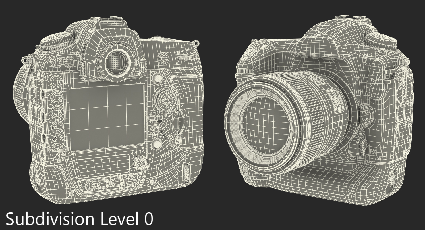3D Nikon D5 Professional DSLR Camera model