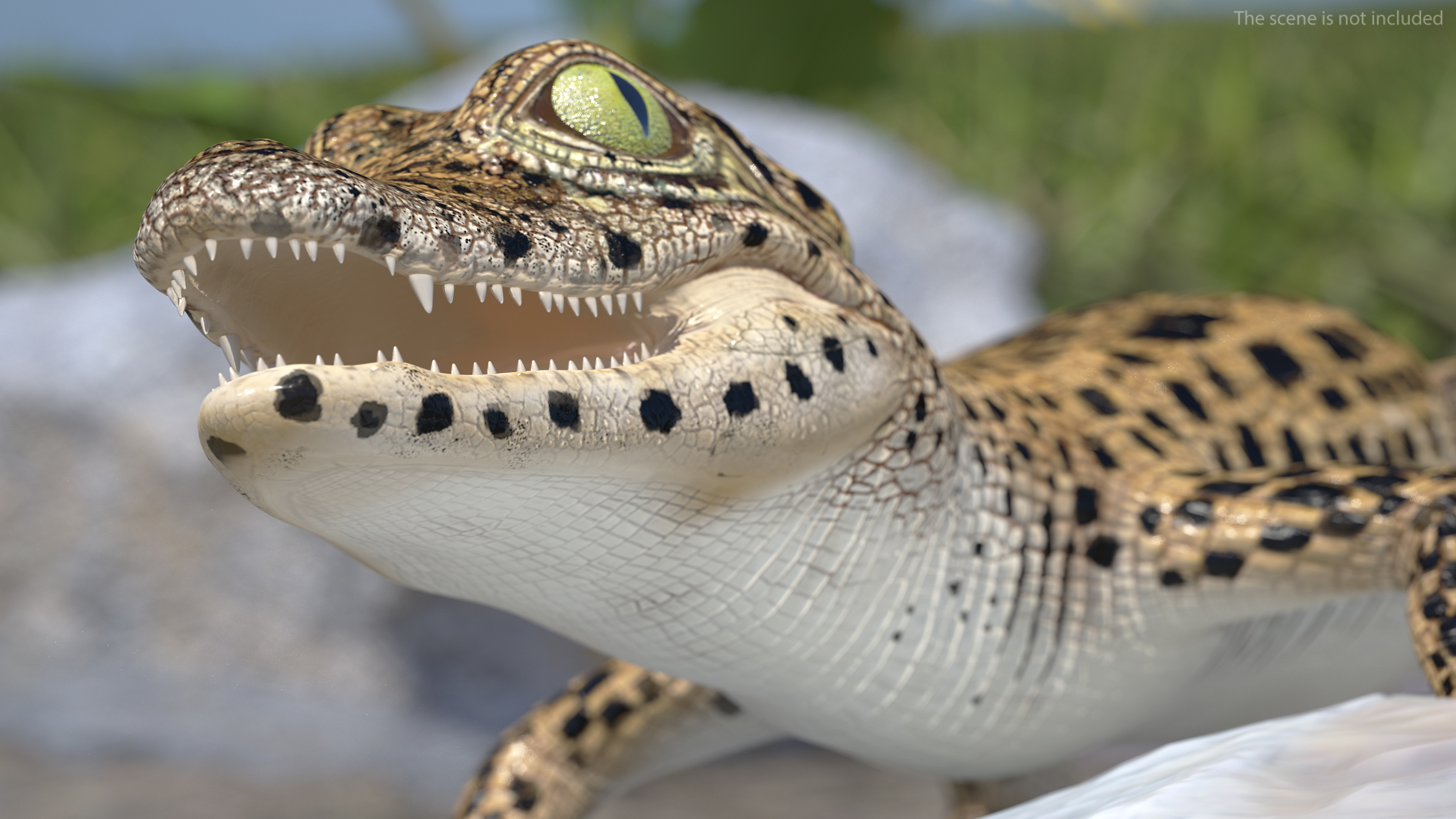 3D model Baby Crocodile Dark Color