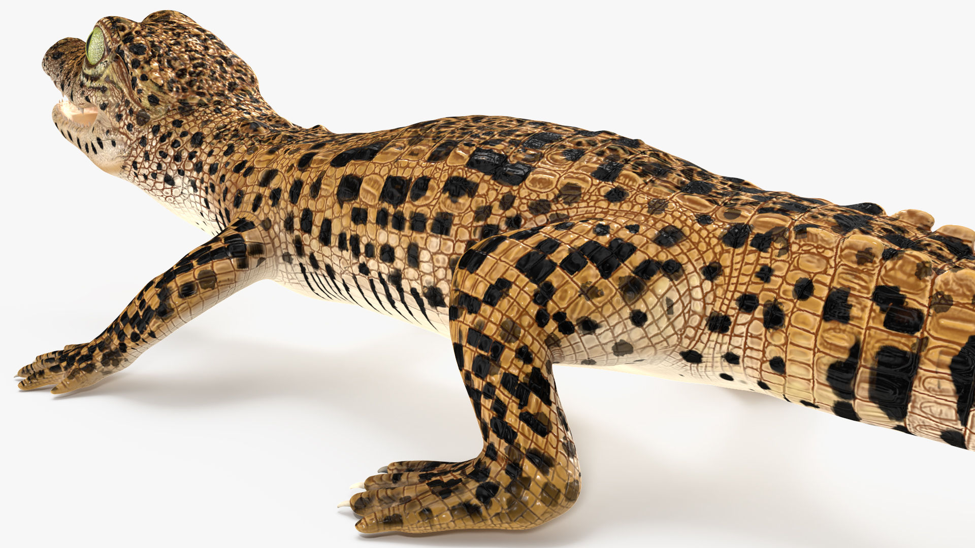 3D model Baby Crocodile Dark Color