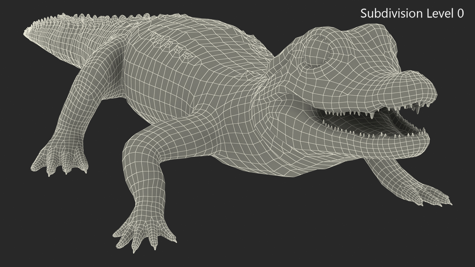3D model Baby Crocodile Dark Color