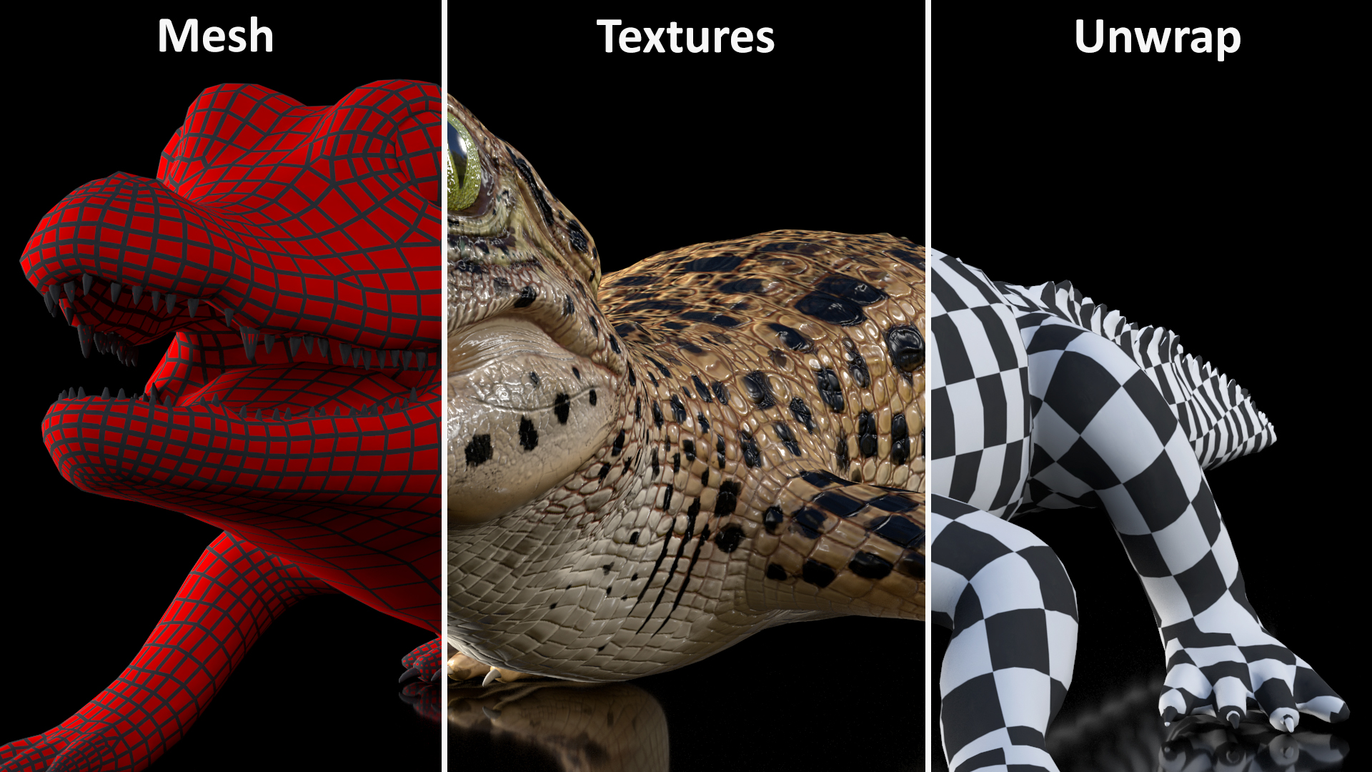 3D model Baby Crocodile Dark Color