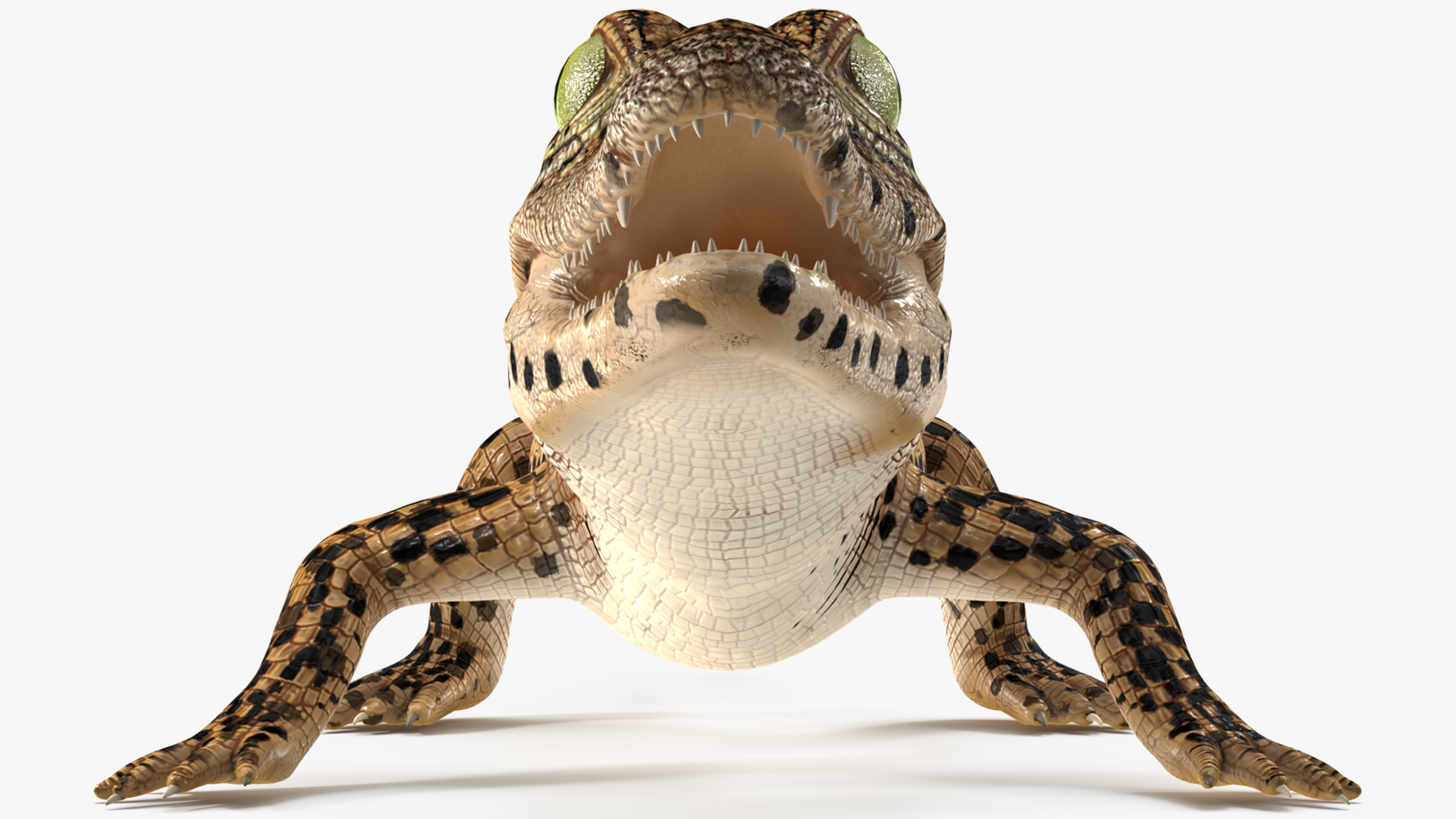 3D model Baby Crocodile Dark Color