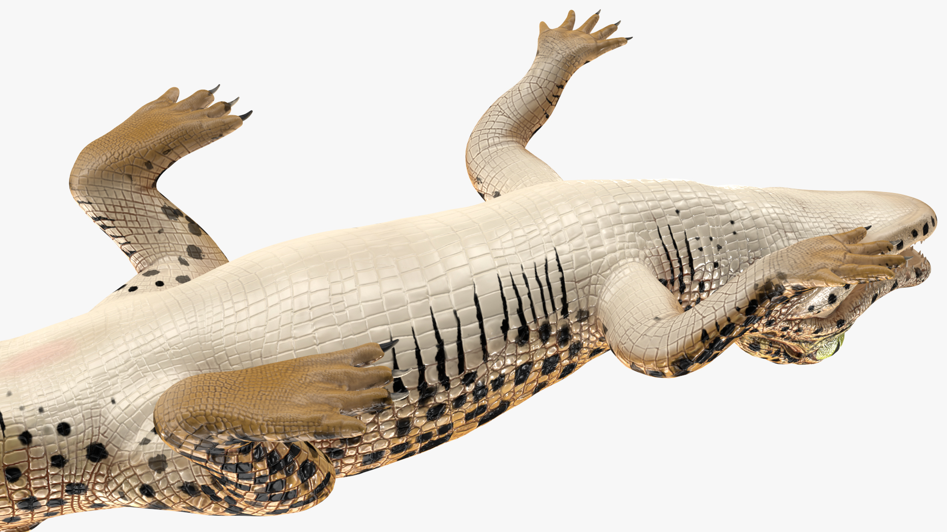 3D model Baby Crocodile Dark Color