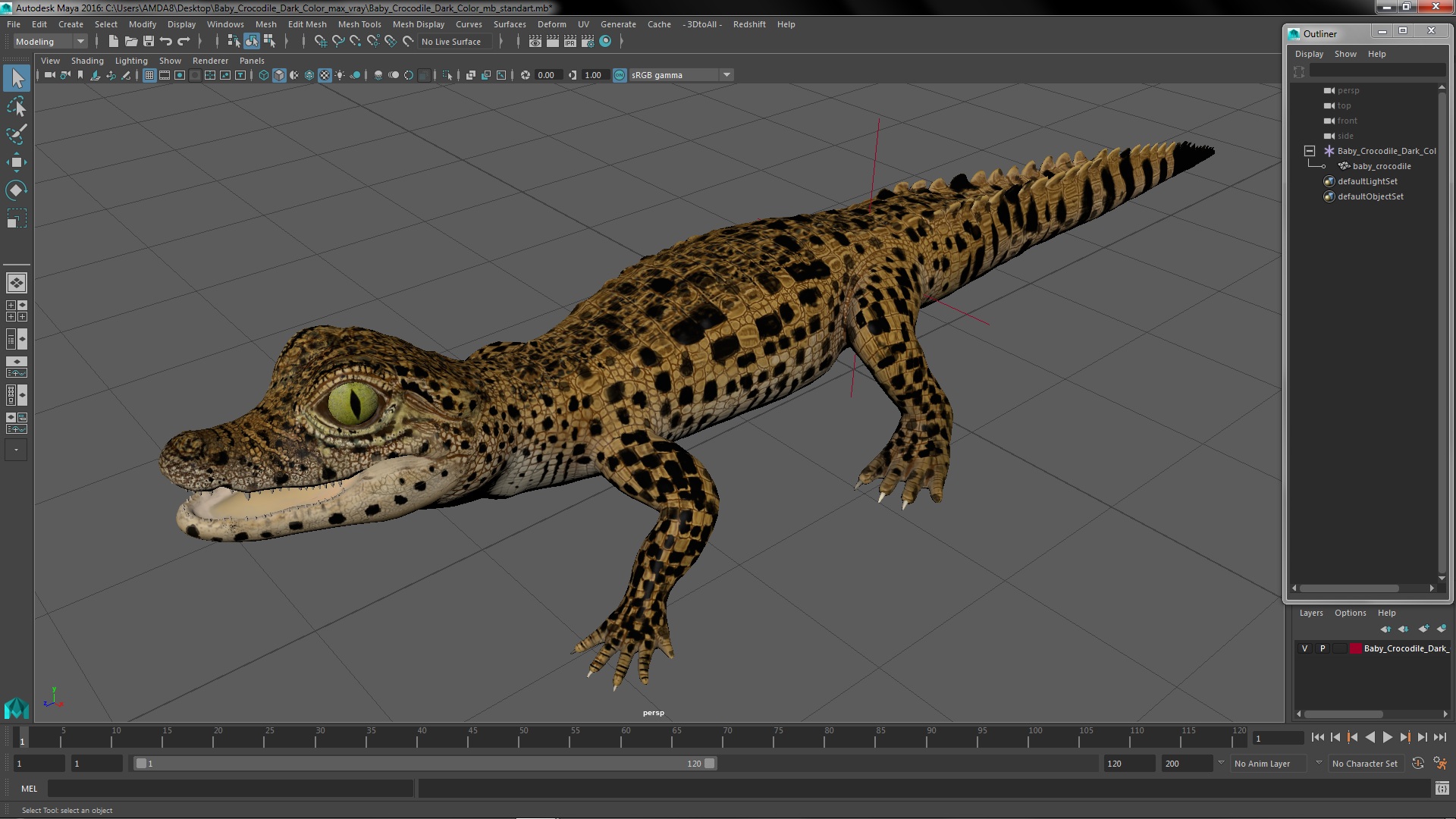 3D model Baby Crocodile Dark Color