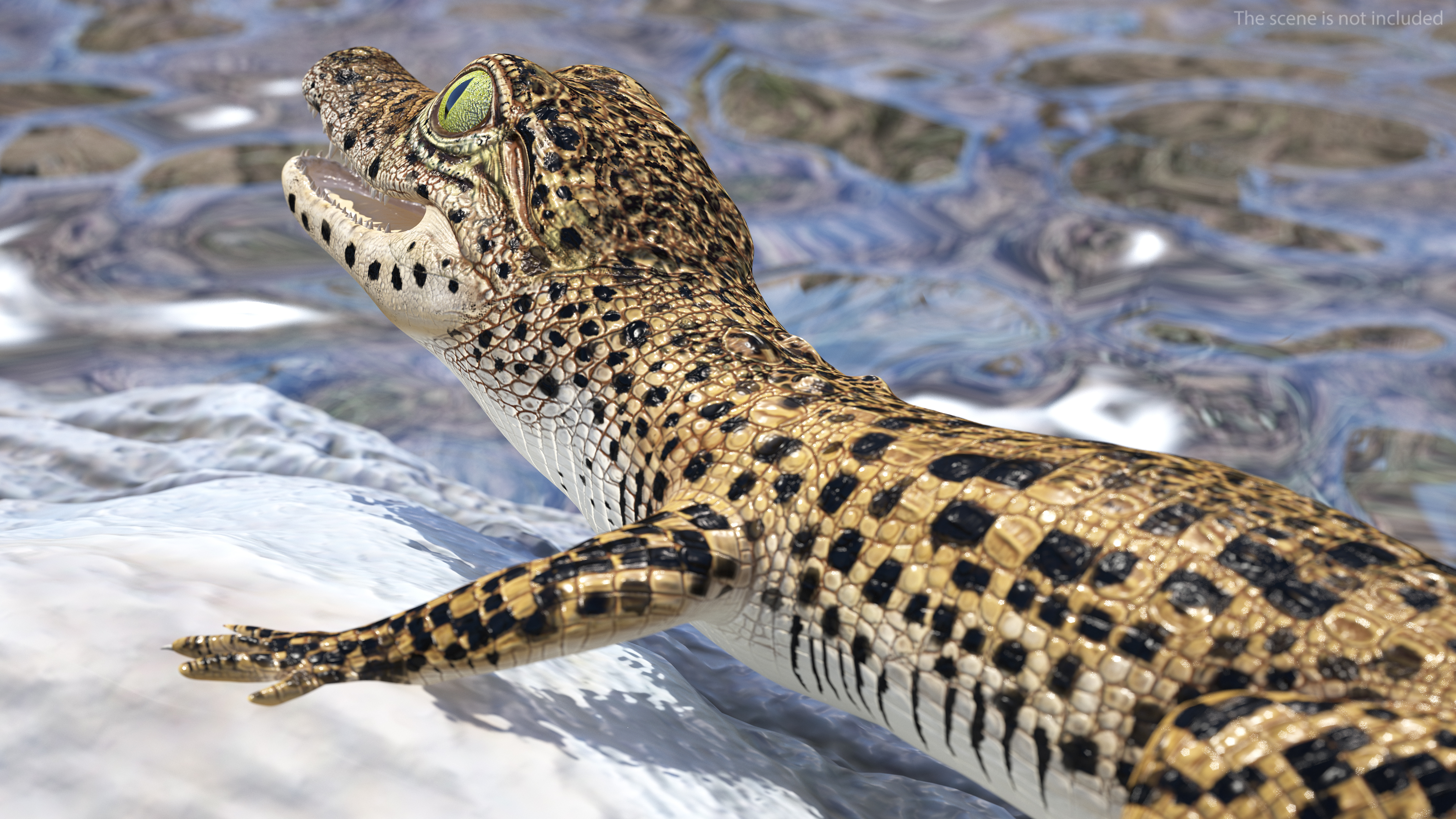 3D model Baby Crocodile Dark Color