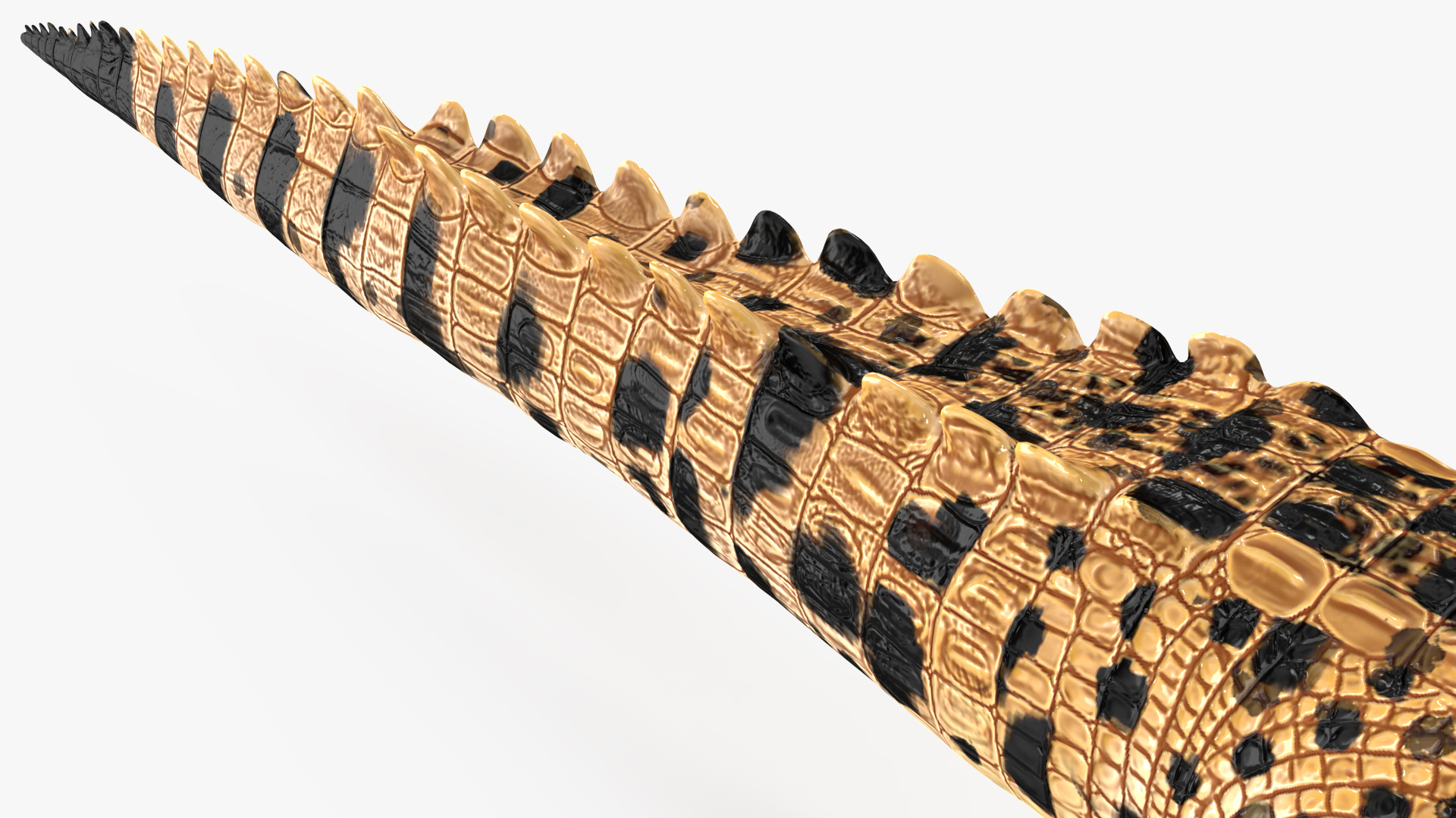 3D model Baby Crocodile Dark Color