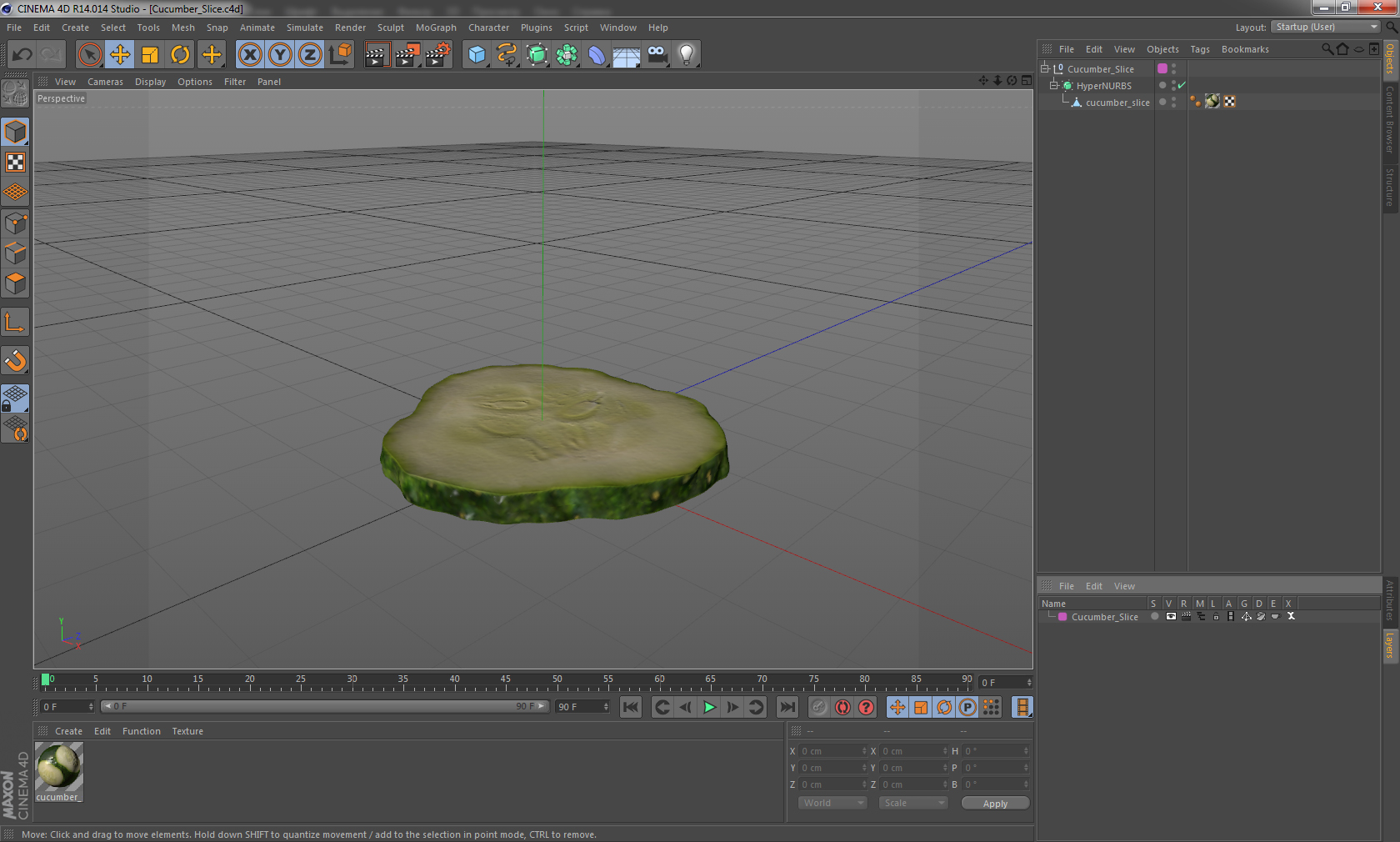 Cucumber Slice 3D model