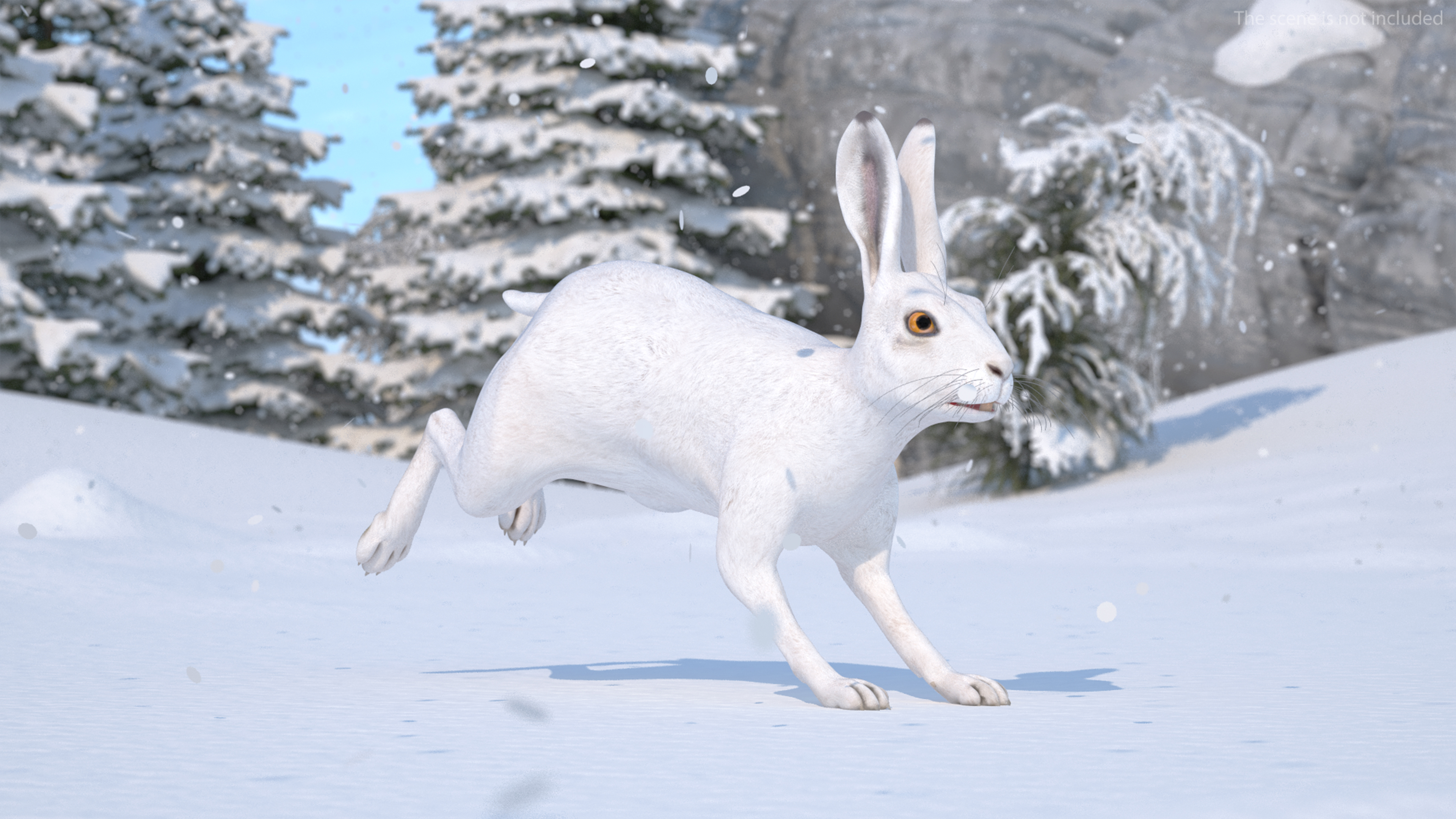 3D model White Hare  Animated