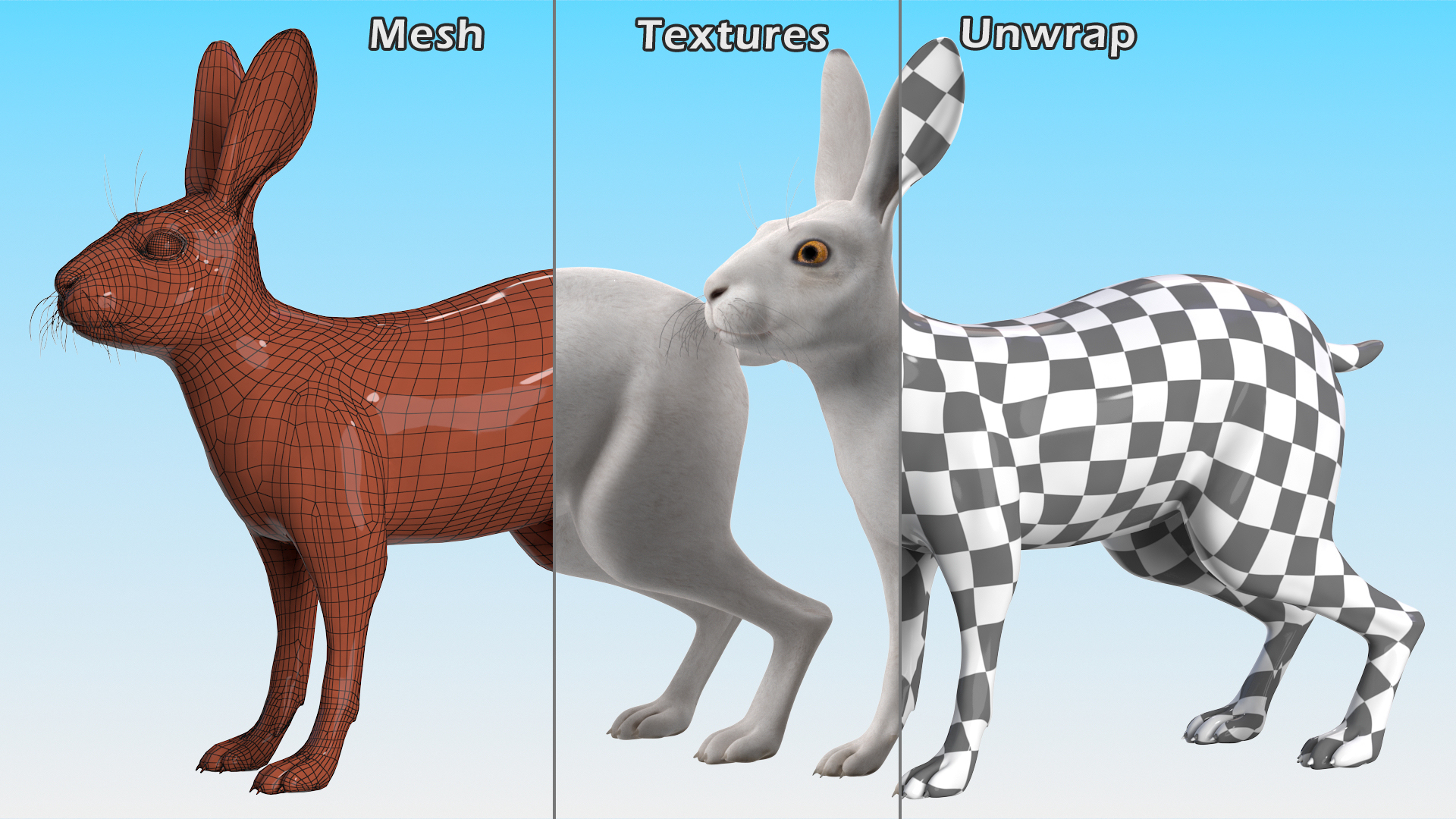 3D model White Hare  Animated