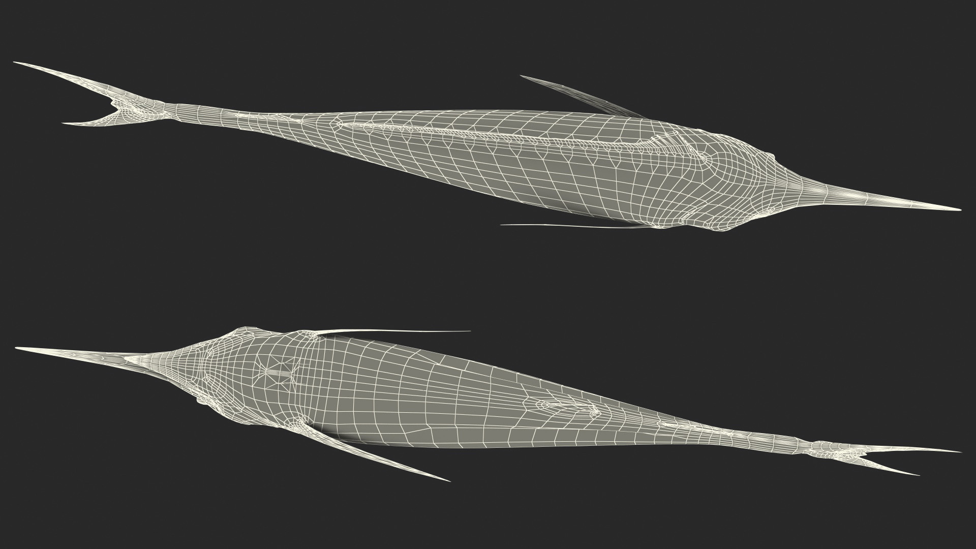 Striped Marlin Fish 3D model