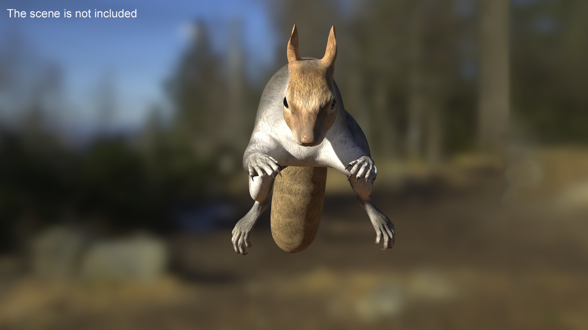 Gray Squirrel Rigged for Maya 3D model