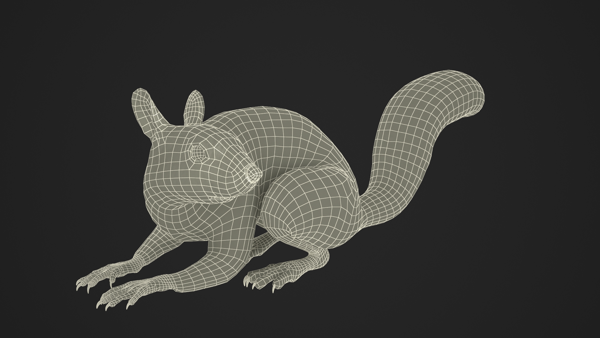 Gray Squirrel Rigged for Maya 3D model