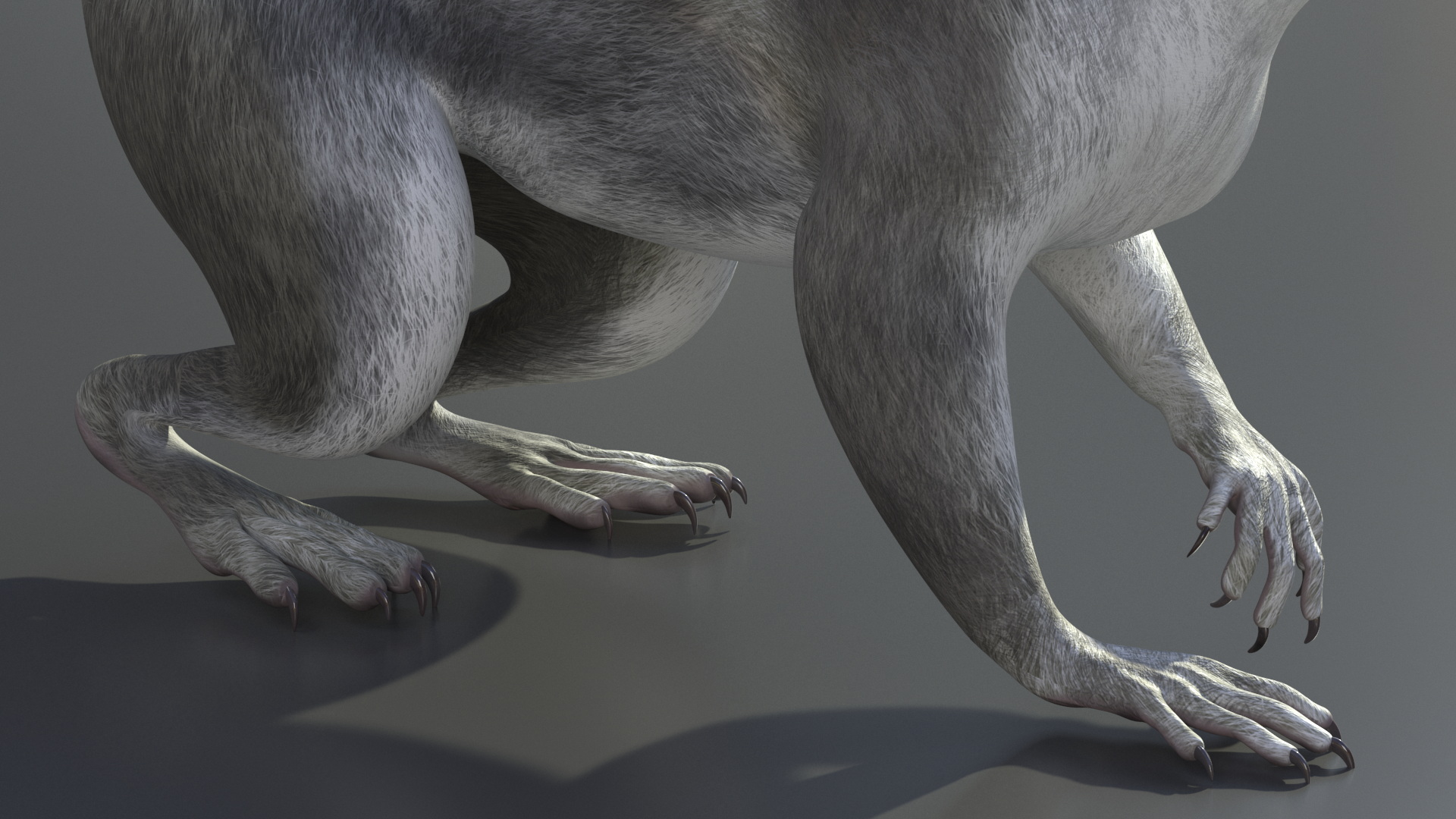 Gray Squirrel Rigged for Maya 3D model