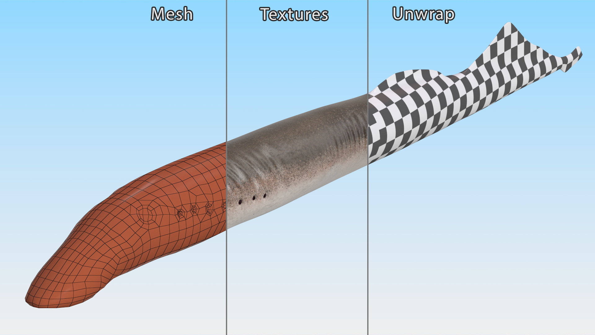 Lamprey Rigged 3D model